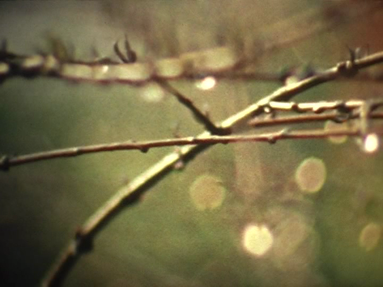 vlcsnap-2012-12-03-21h24m05s211.png