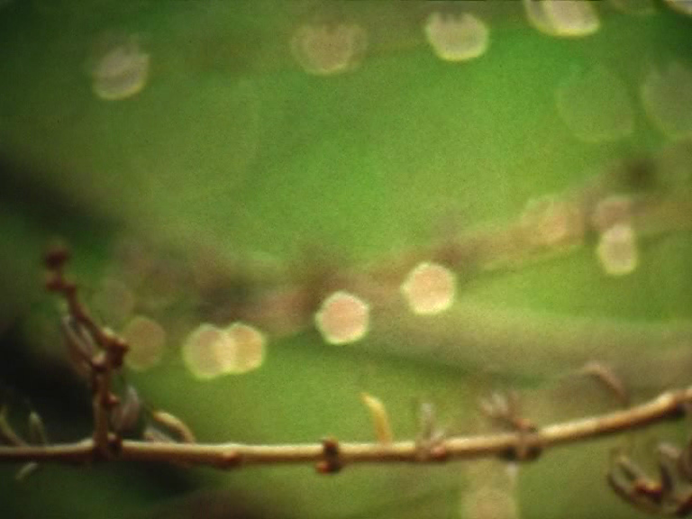 vlcsnap-2012-12-03-21h24m13s37.png