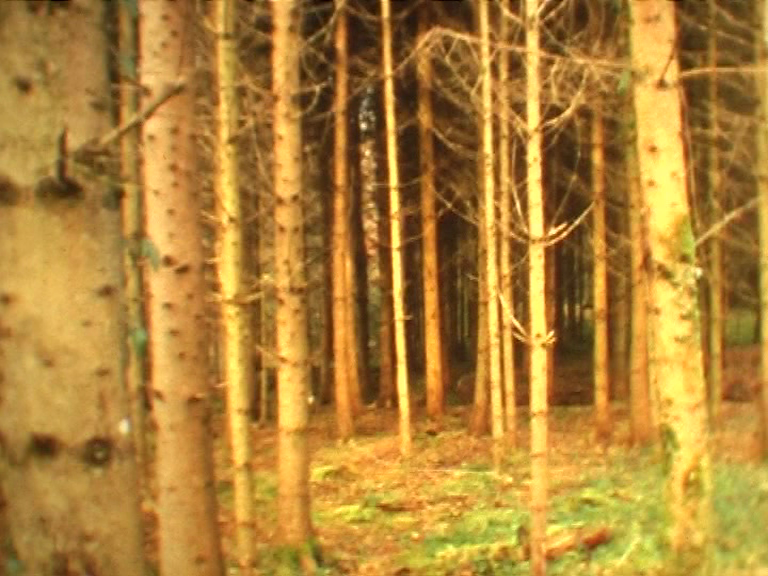 vlcsnap-2012-12-03-21h23m32s123.png