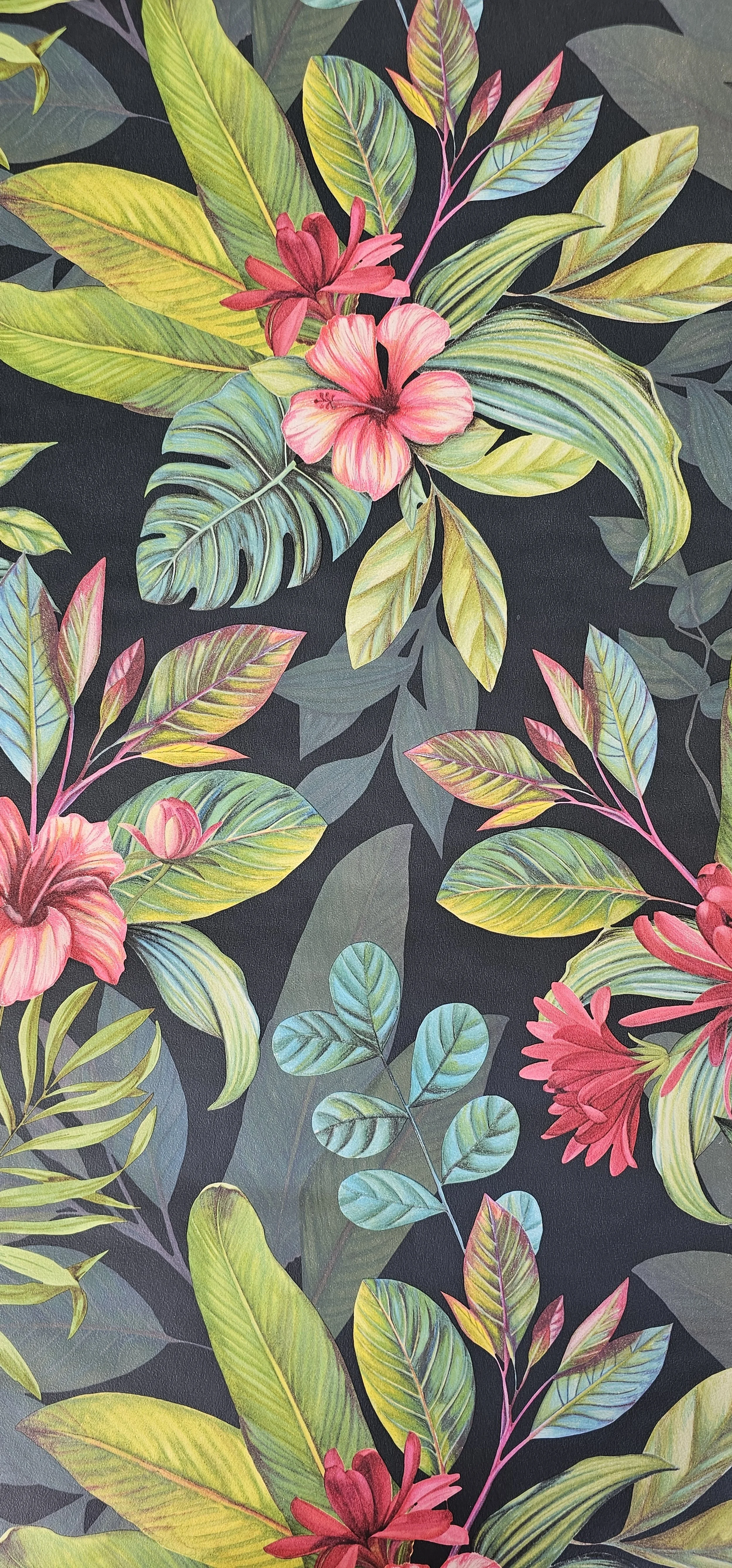 Wallpaper - Tropical Paradise