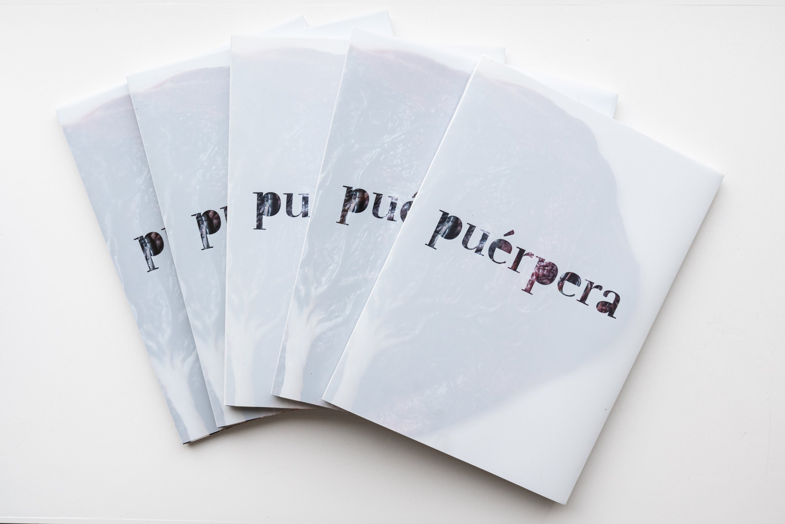 Puérpera Photobook Launch and Singing by Deborah Elenter