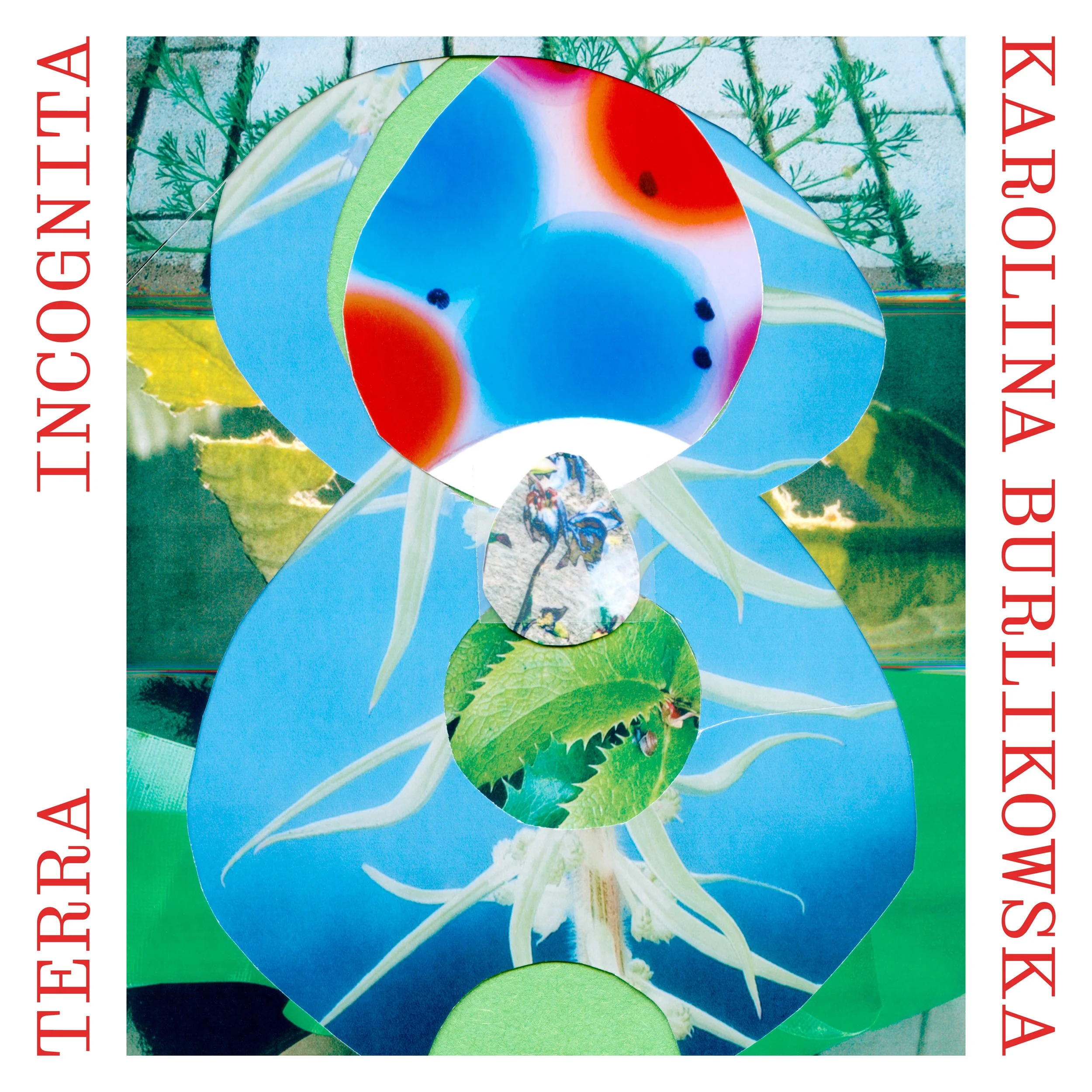 Zine Launch: Terra Incognita by Karolina Burlikowska