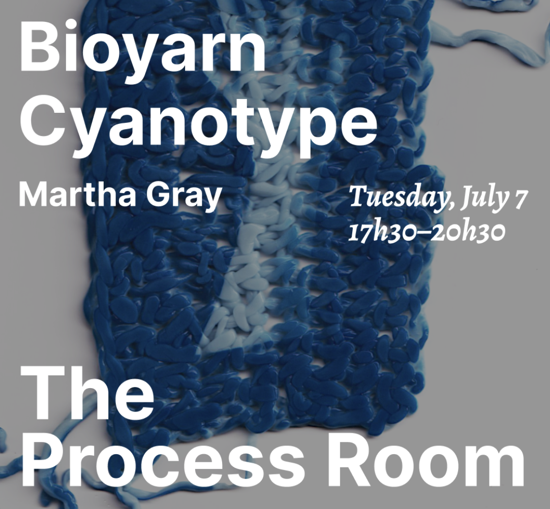 Bioyarn Cyanotype with Martha Gray