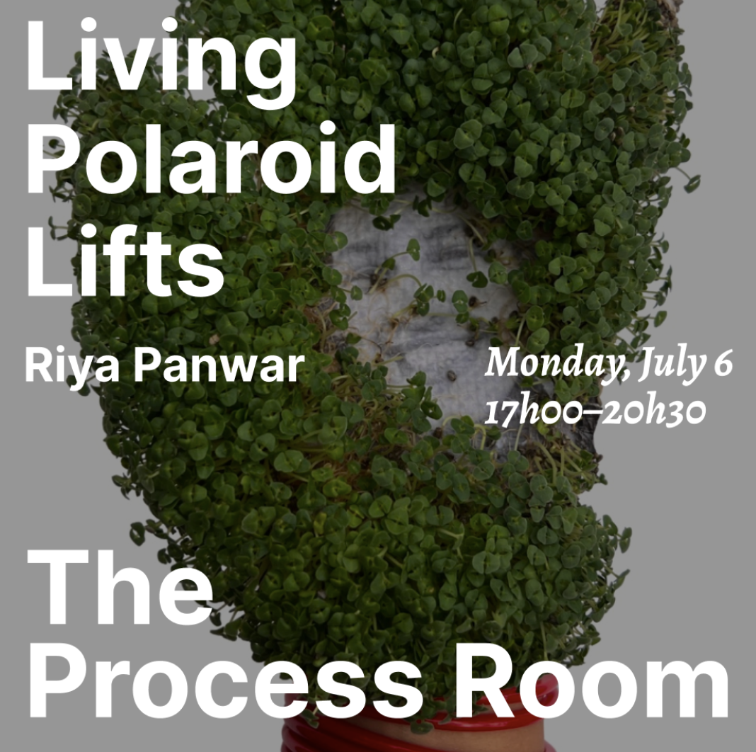 Living Polaroid Lifts with Riya Panwar