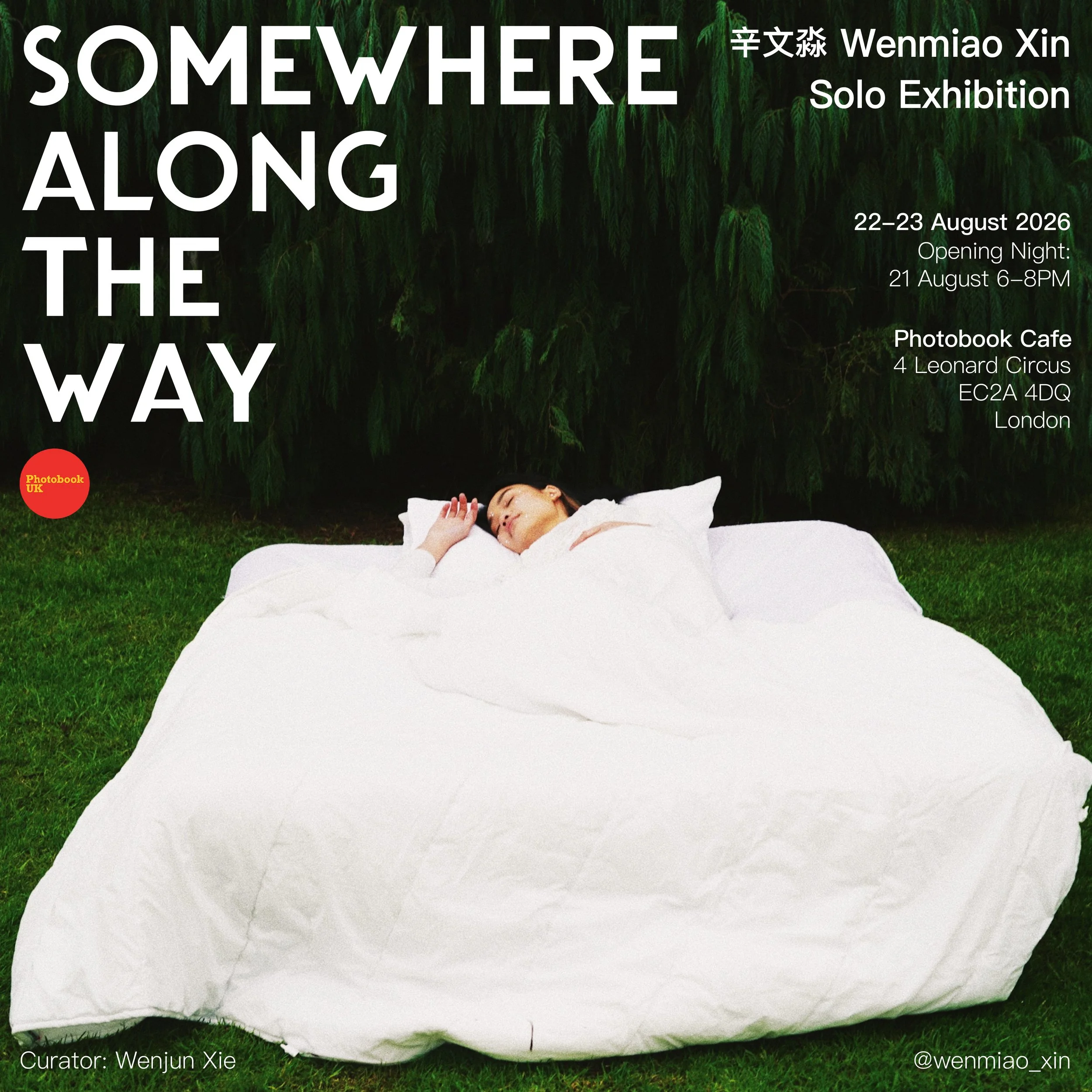 Wenmiao Xin Solo Exhibition: Somewhere Along the Way