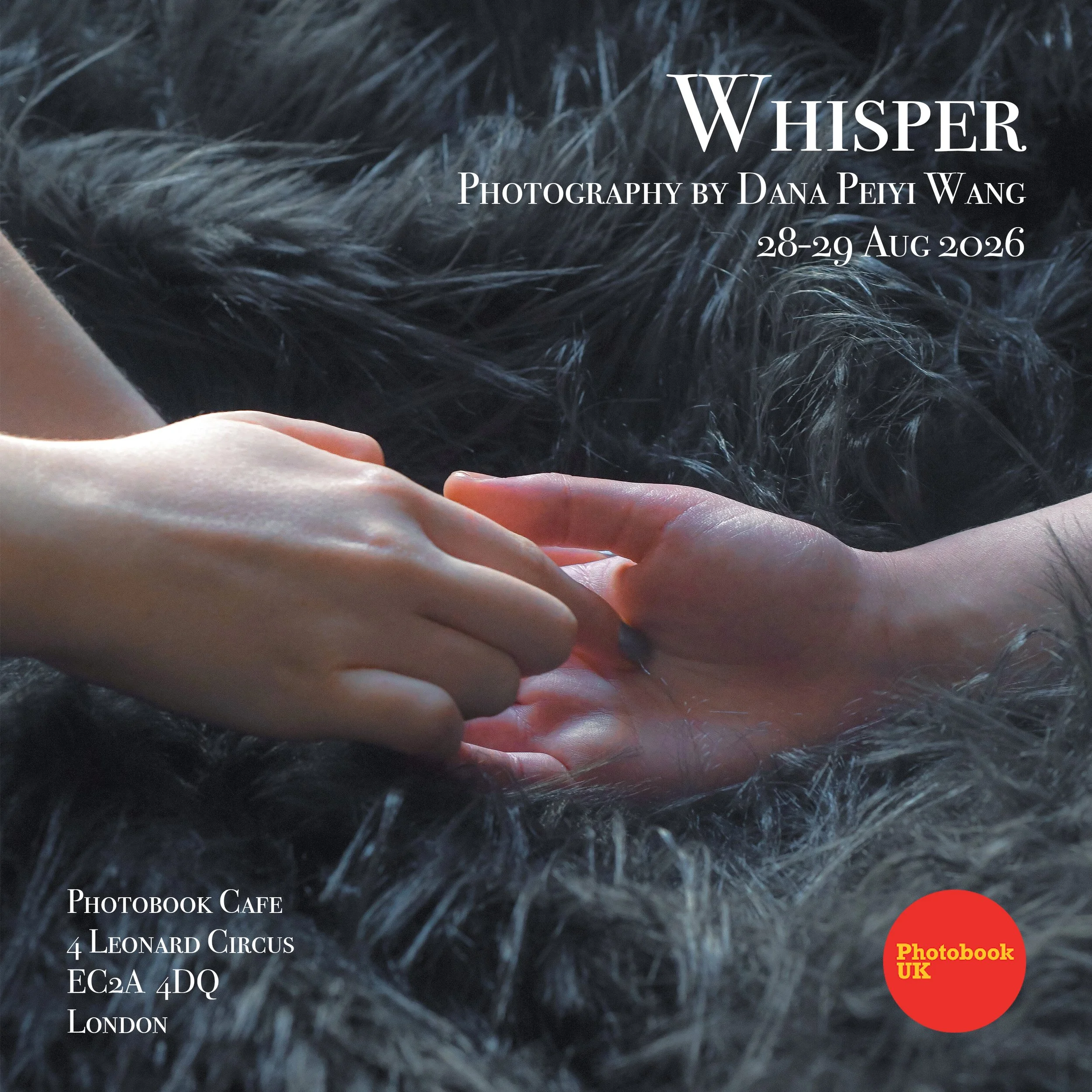 Solo Exhibition: Whisper by Dana Peiyi Wang
