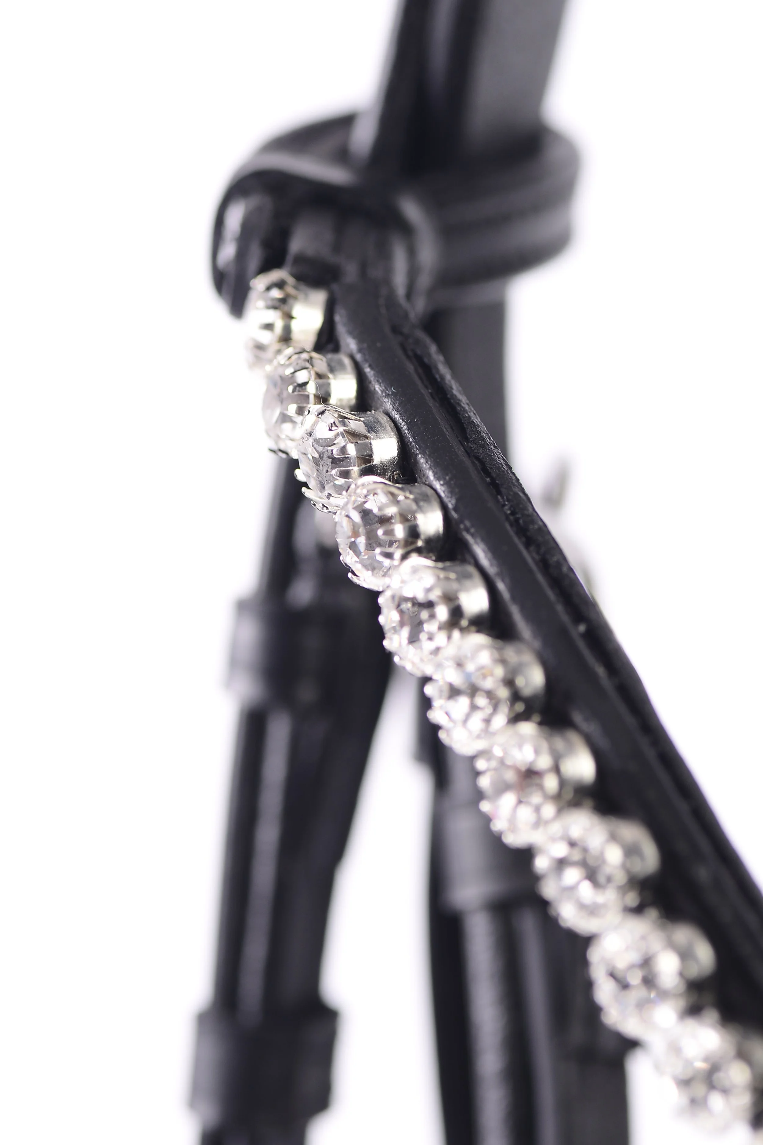 PED_3144.JPG (copia)