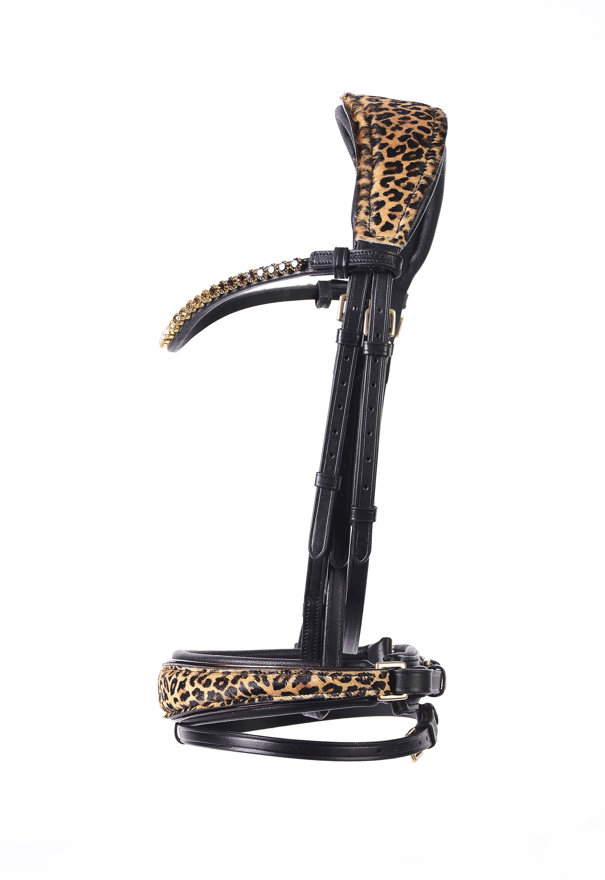 CAB. LEOPARDO RET 1.jpg