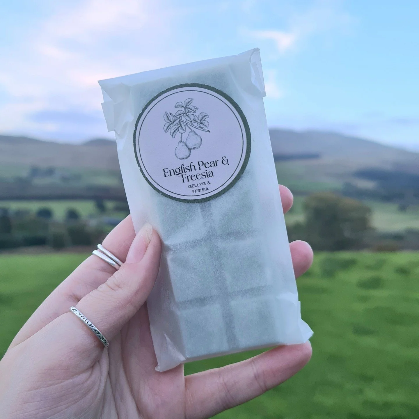 English Pear &amp; Freesia introduces a honey sweetness, surrounded by White Freesia and Wild Climbing Rose.

Available at www.derynwengifts.co.uk/shop-BLkVs/home/wax-melts!
.
.
.
#handmadehome #handmadehomedecor #homestyle #homeinspo #homestyling #h