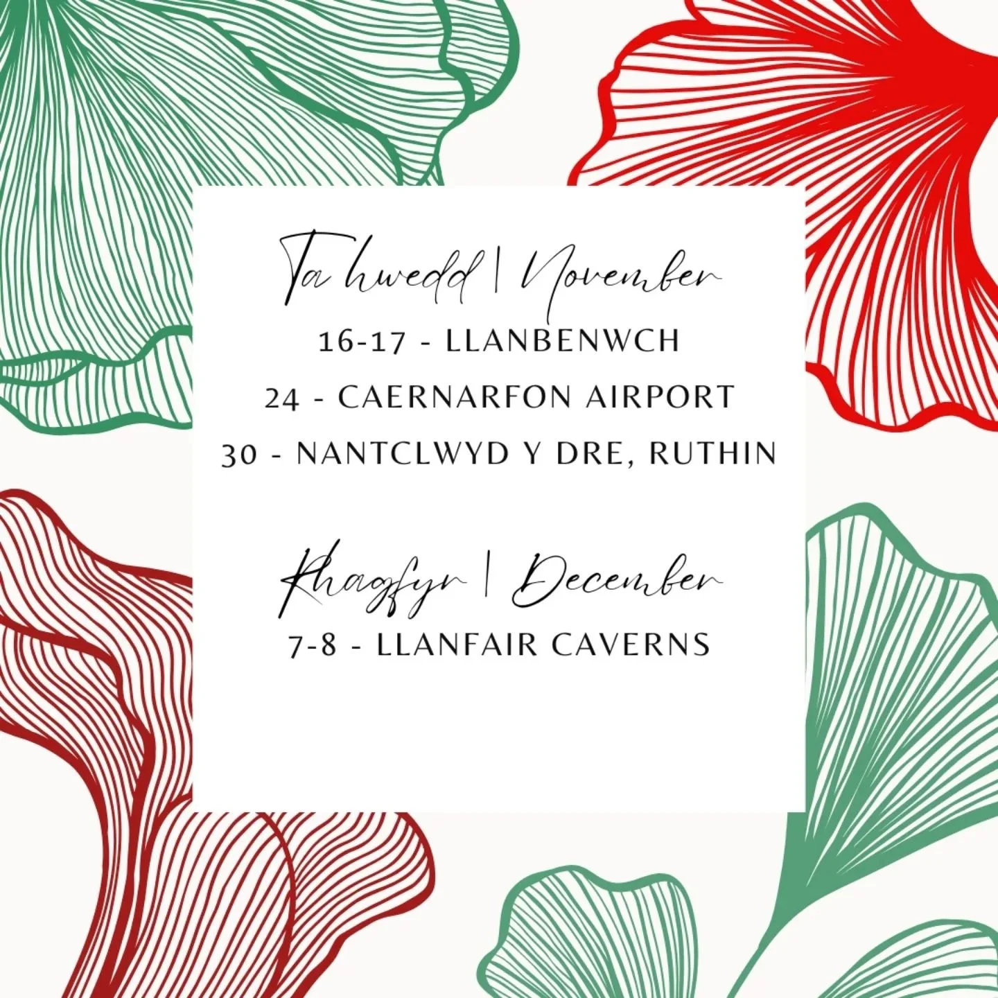 🌟 Here's what we have booked so far! 🌟

🎄 Dyma de ni wedi bwcio hyd yn hyn! 🎄

🌟 We might book a few more for December, most likely school fayres! We've now restocked our Christmas jewellery too, &pound;5 for a pair of Sterling Silver Stud Earri