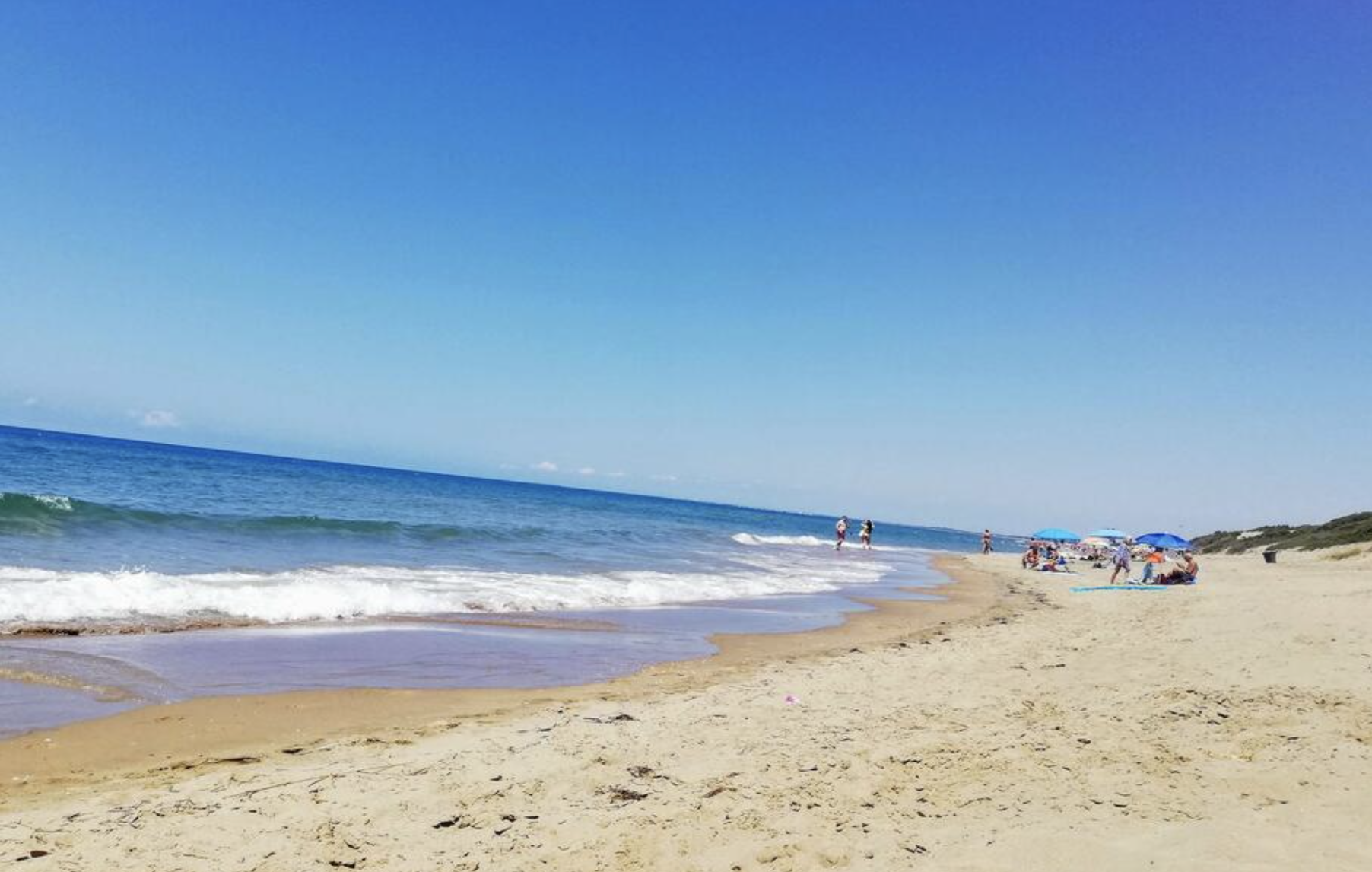 プラスチック製使い捨て容器問題 日本より厳しいeu規制 環境にやさしい素材への転換期 Aa Environment Possibility Award