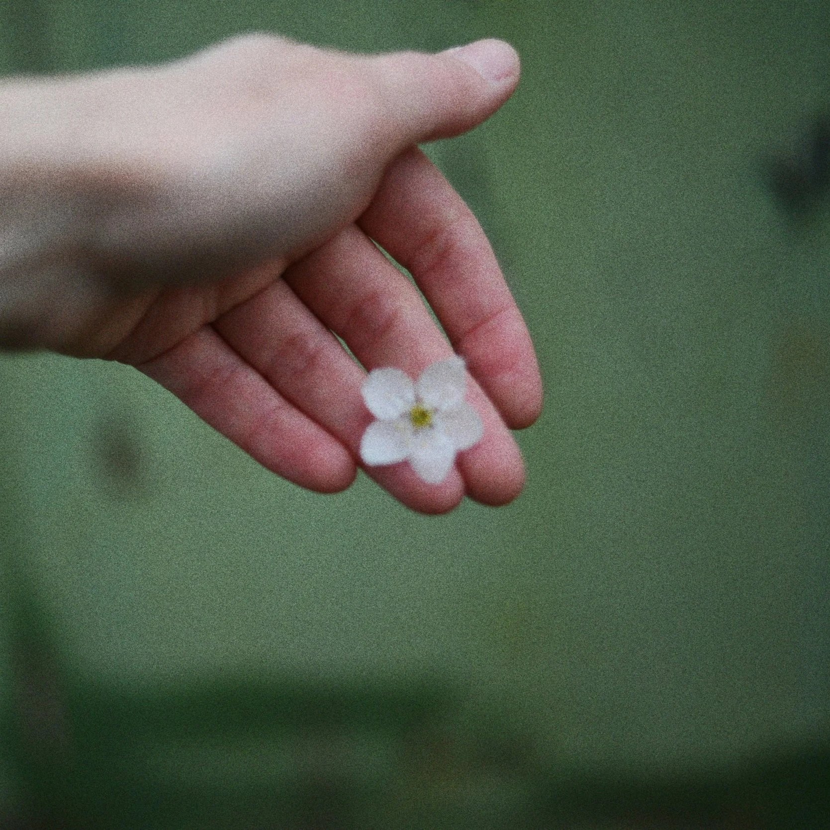 The Spirit of Giving Back