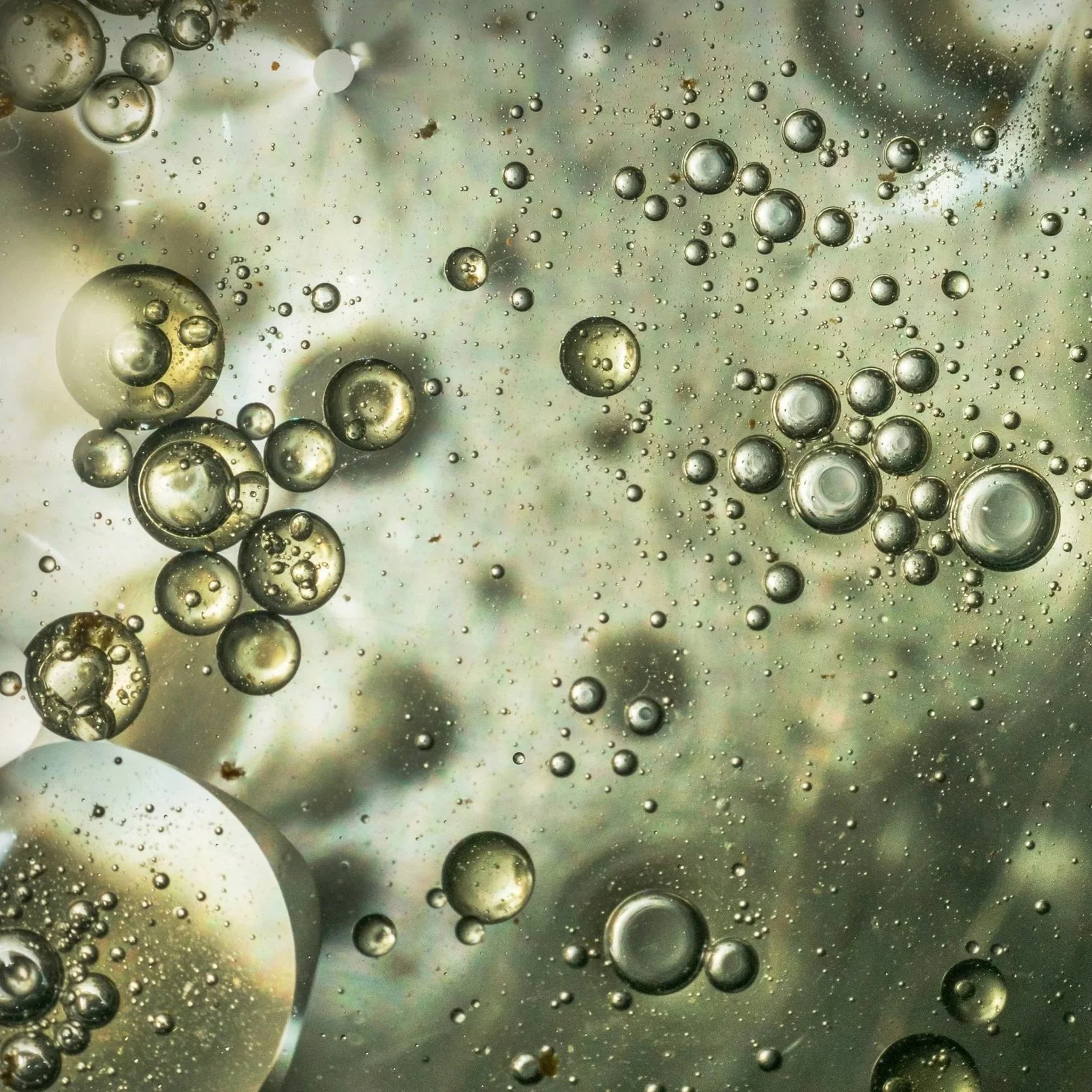 Well-Oiled Portfolio