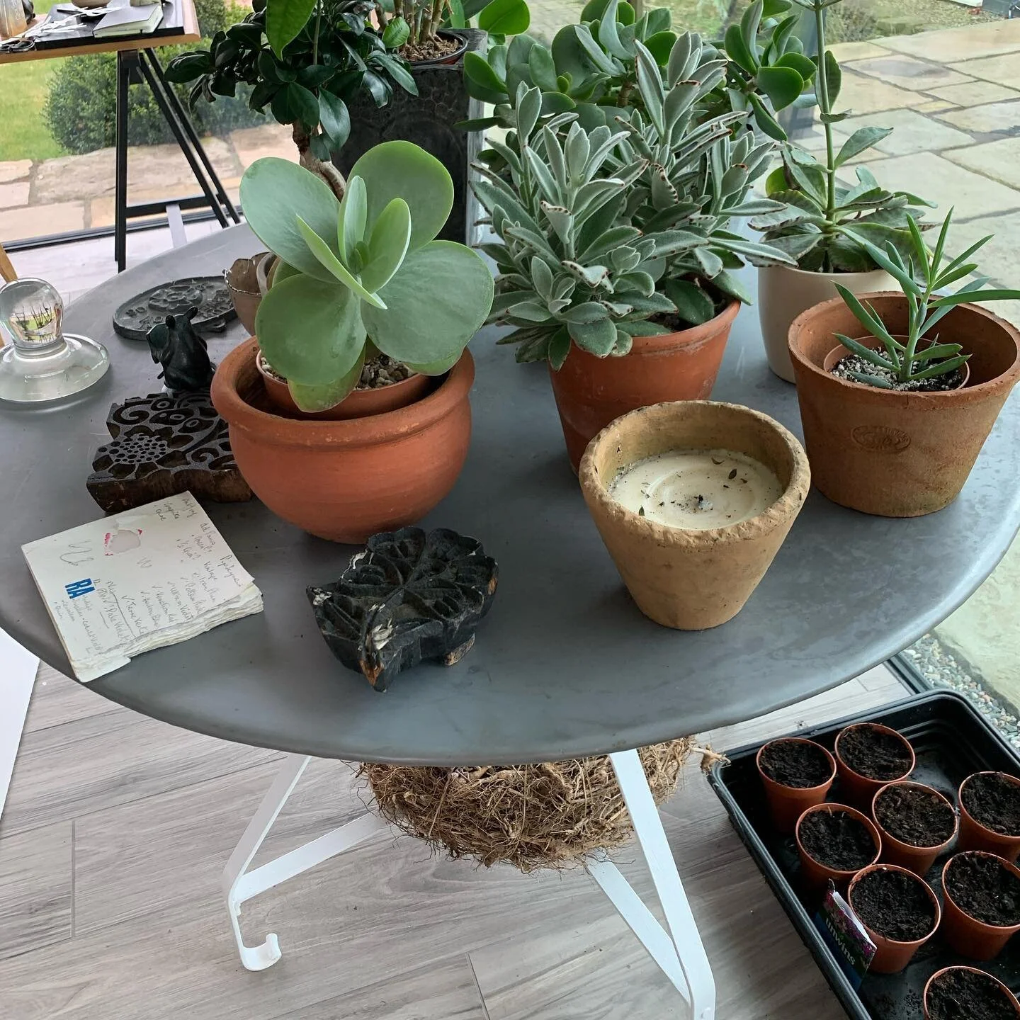 #plant #takeover !! No room in the #greenhouse ! Totally unacceptable 🤣 but a #girl has to do what a girl has to do!! At least I can takeover the #kitchen #lounge #tvroom  #artinprogress #gesturalabstraction #collage #paint #watercolour #constructed