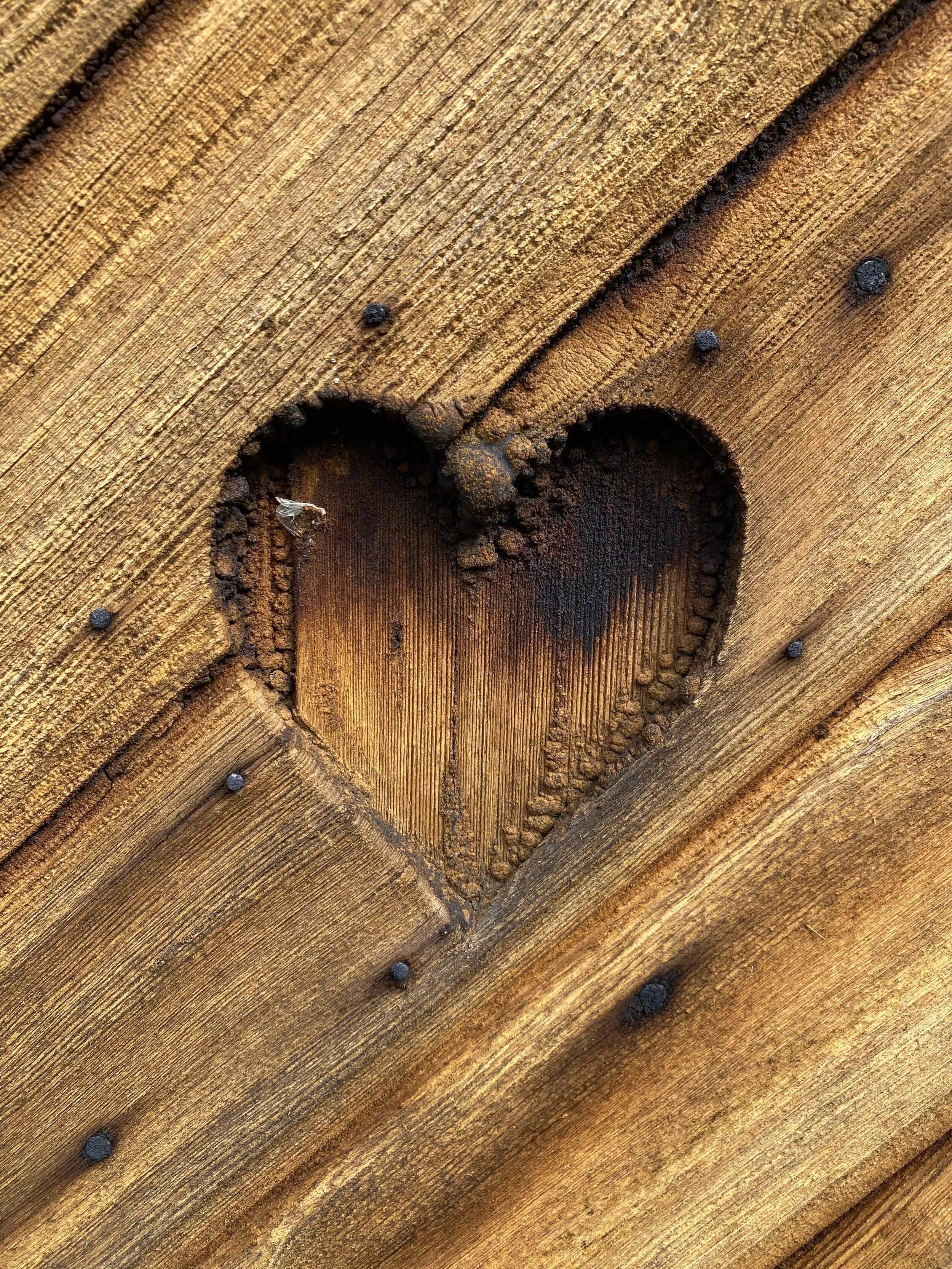 What if listening is a skill?