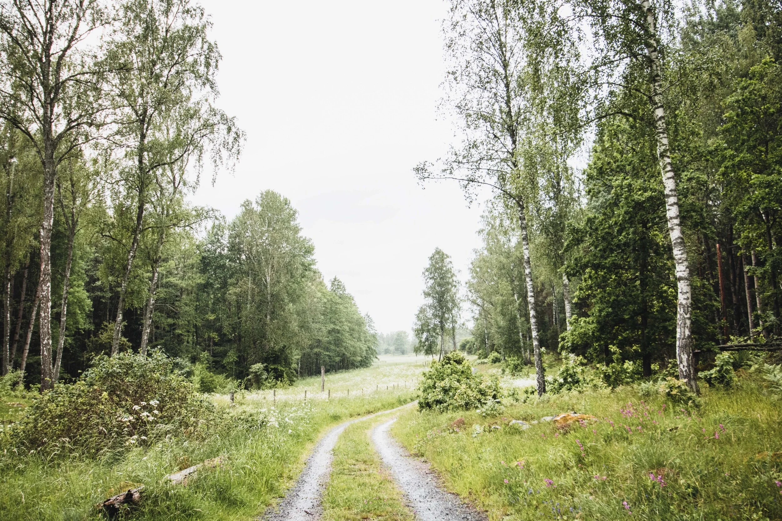 Stjärnögonblick från juni 2021