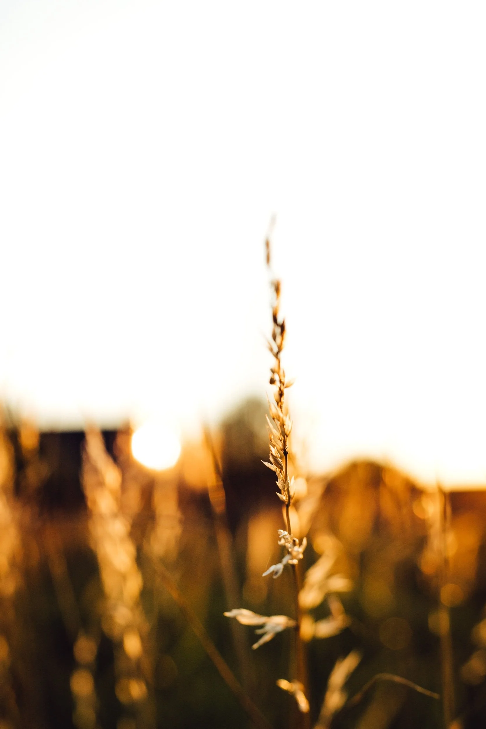 Stjärnögonblick från juli 2024