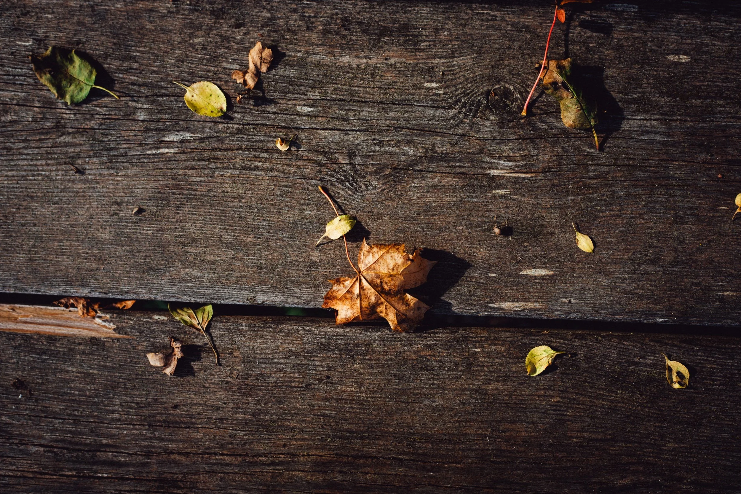 Stjärnögonblick från oktober 2025