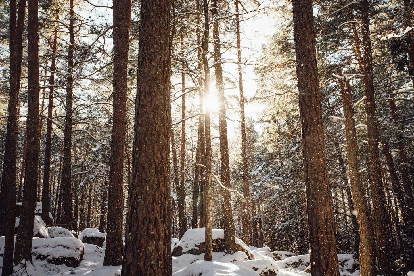 Iskristallerna glittrade extra vackert i solskenet idag.
En lunchpromenad i minusgrader k&auml;ndes som himmelriket.
Perspektiven djupnar n&auml;r livet kommer n&auml;ra. Jag har saknat den k&auml;nslan av total n&auml;rvaro ett tag. Som om livet spr