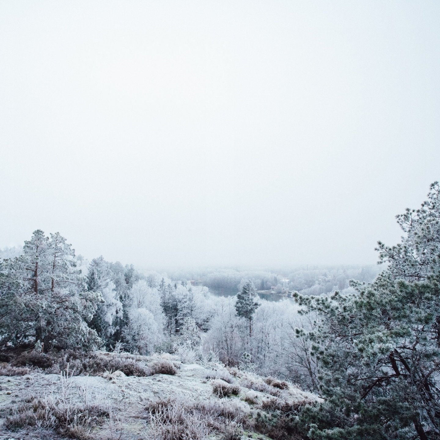 Jag l&auml;mnar ett frostigt november bakom mig medan regnet faller i vinterm&ouml;rkret. Genom m&ouml;rkret lyser ljuset fr&aring;n v&auml;nliga &ouml;gon, skratt som fyller rum och omsorg som v&auml;rmer. Genom m&ouml;rkret h&aring;ller jag h&auml;