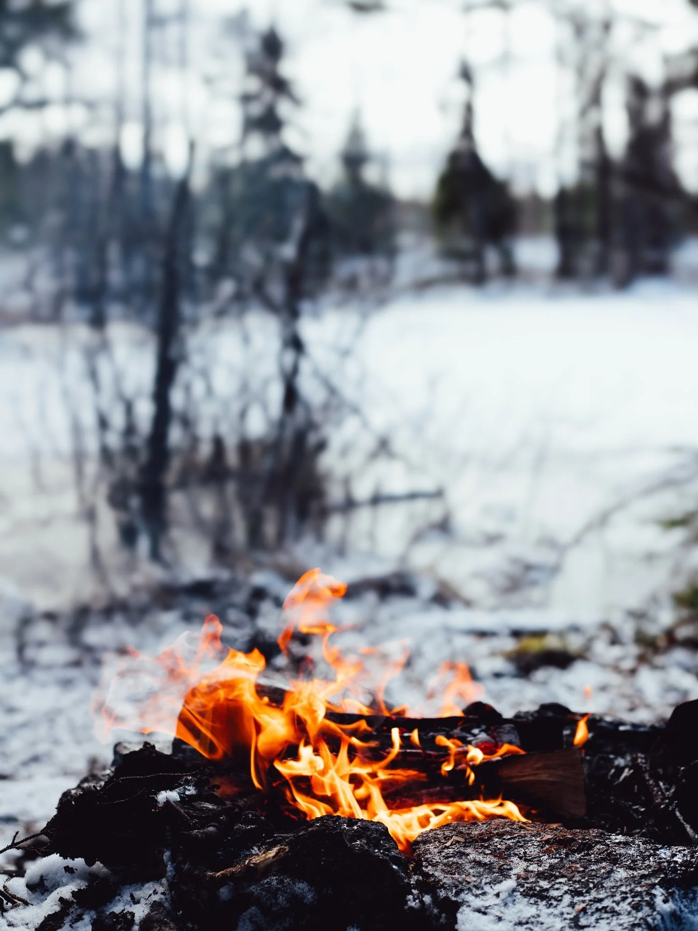 Vi v&auml;nder mot ljusare tider. ☀️ 

Jag ser fram emot en l&auml;ngre ledighet. Utan en tanke p&aring; klockan, utan prestation och f&ouml;rpliktelser. 

Under jul och ny&aring;r ska jag i min sj&auml;lvvalda ensamhet f&ouml;lja lusten dit den tar 