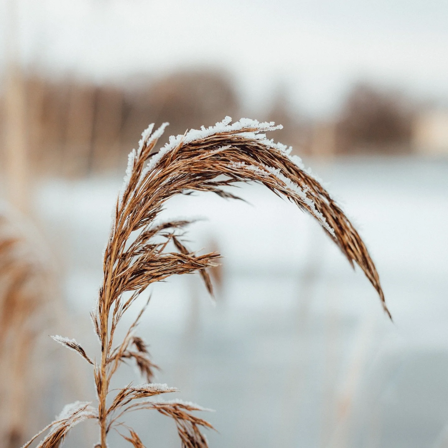Med minusgrader utanf&ouml;r f&ouml;nstret dricker vi kaffe &ouml;ver ett samtal jag inte kan ha med n&aring;gon annan. 
Mitt emot sitter en m&auml;nniska som har sett mig n&auml;r jag inte kunde m&ouml;ta mig sj&auml;lv, som m&ouml;tte min verklighe