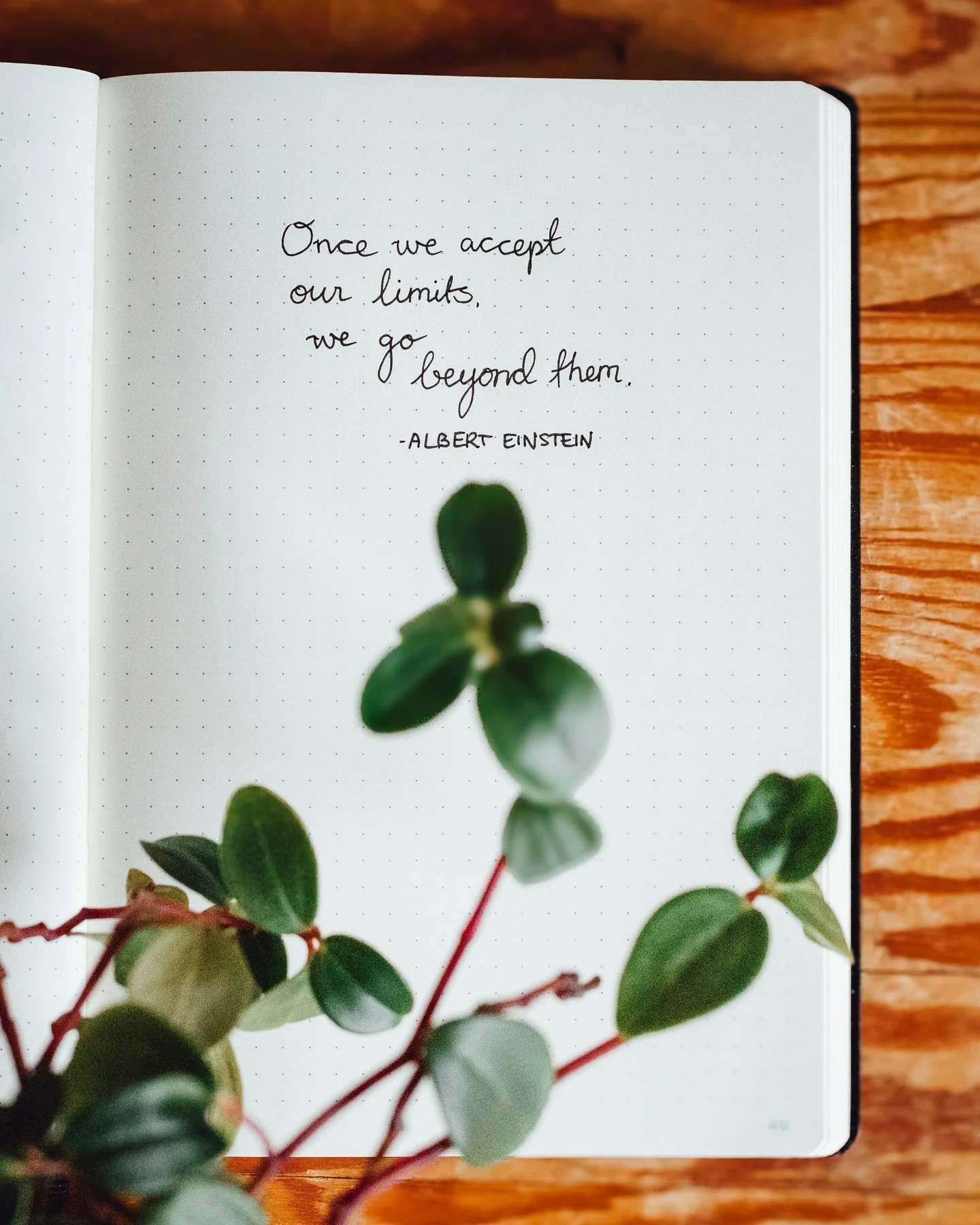 Jag har en tendens att fatta stora beslut f&ouml;r att jag vet att jag klarar det. Det &auml;r vad jag vill, l&auml;ngtar efter och det &auml;r logiskt. Det jag ofta missar &auml;r timingen och tempot. Och att v&auml;nta in mig sj&auml;lv k&auml;nslo