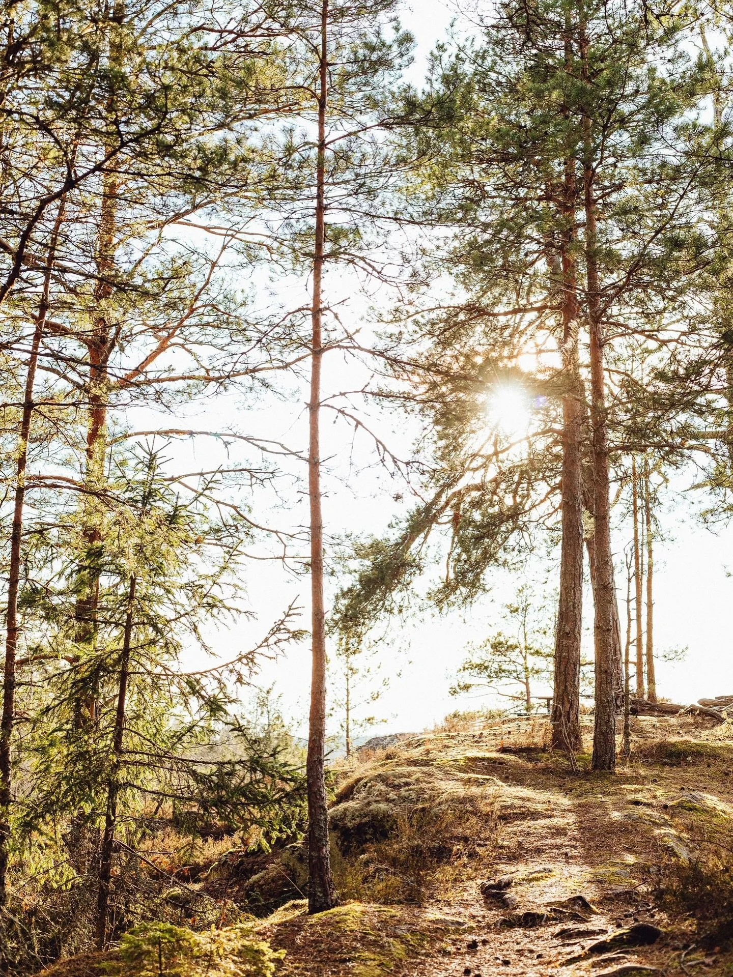 Jag vaknar tveksamt upp fr&aring;n vinteridet. M&ouml;ter v&aring;rljuset med k&auml;nsliga &ouml;gon. V&aring;ren &auml;r en tid som b&aring;de v&auml;cker mig till liv och utmanar mina prioriteringar. Det &auml;r mycket som vill hinnas med. Min sta