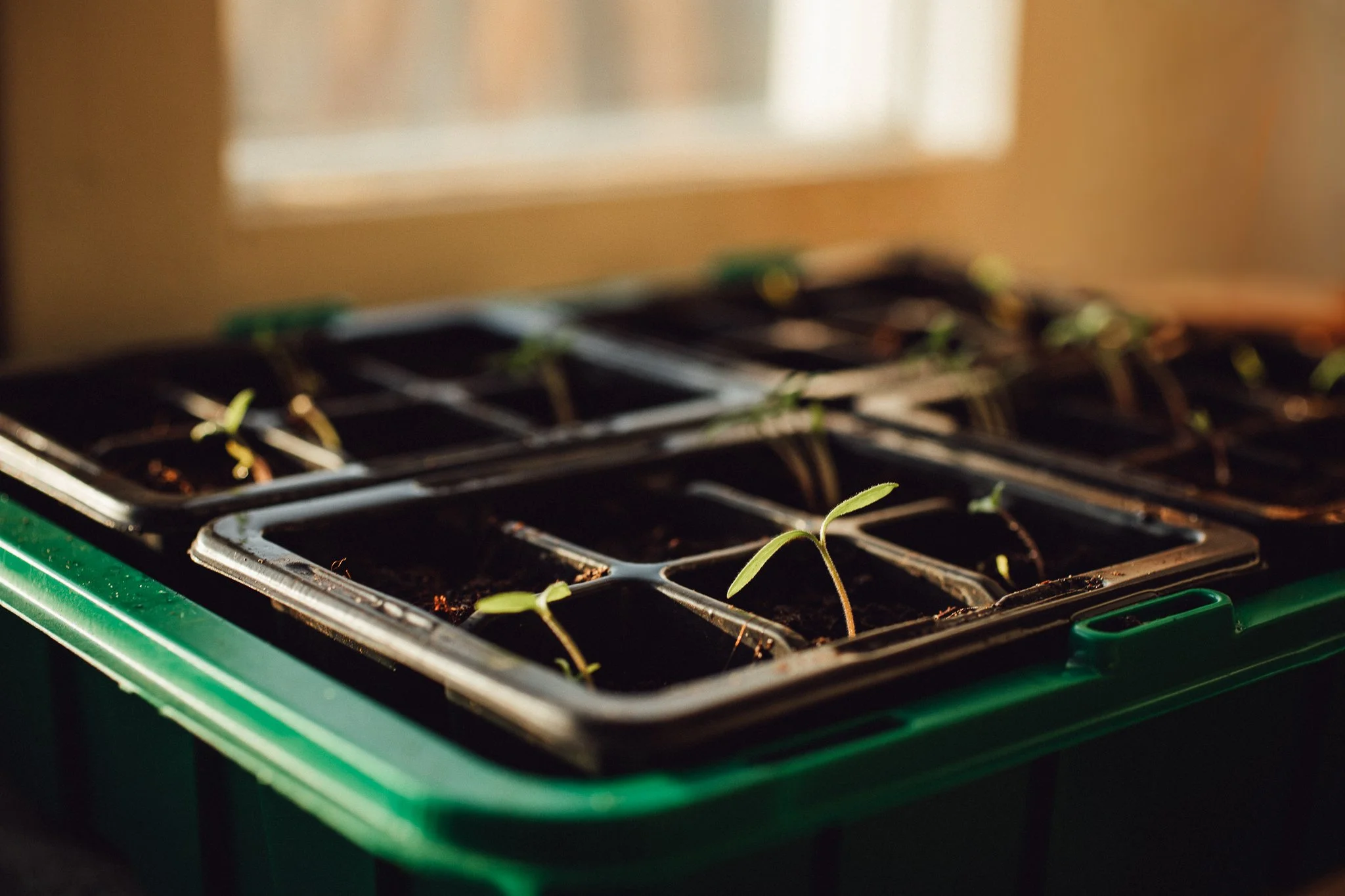 Stjärnögonblick från mars 2026