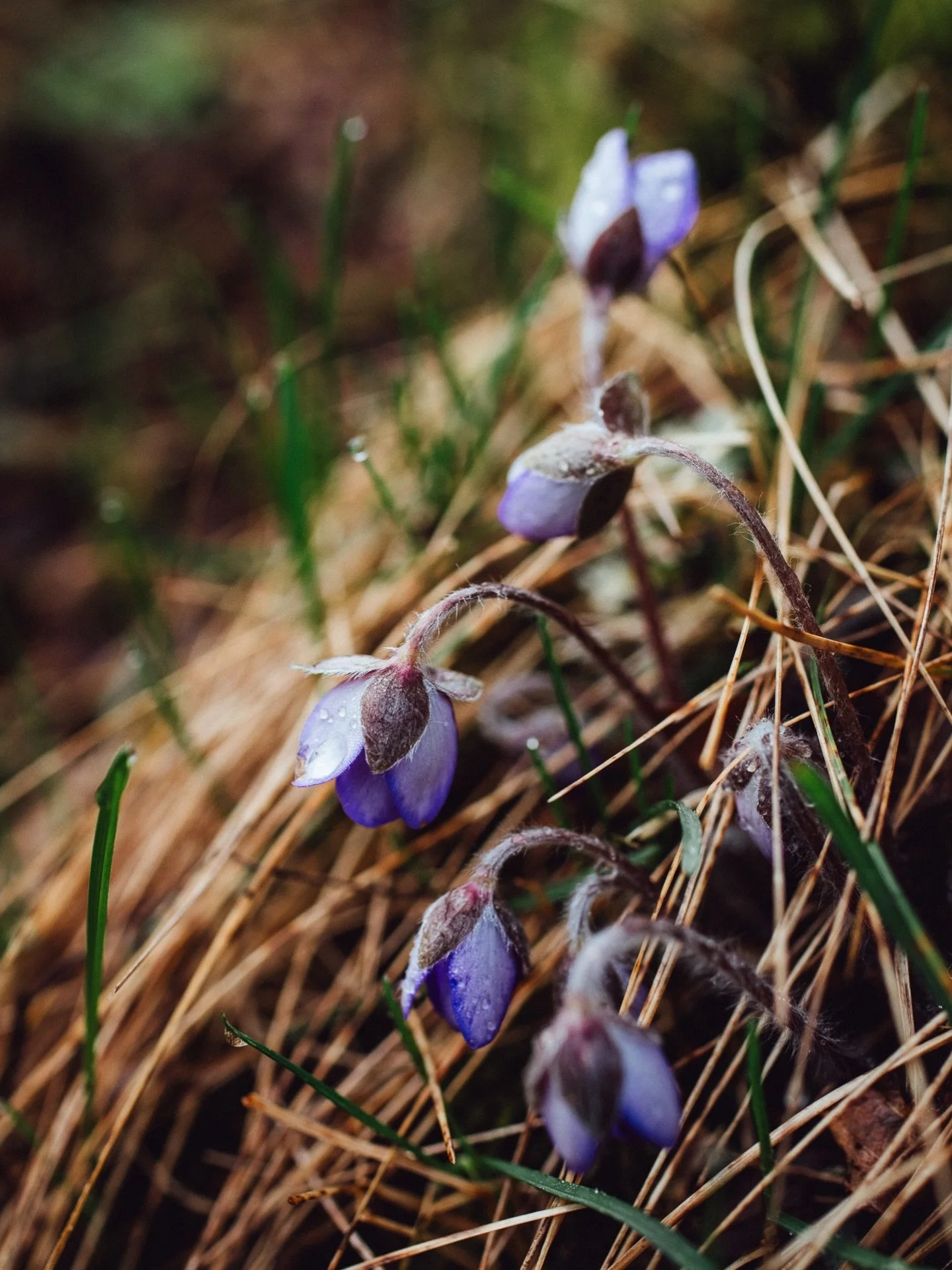 Stj&auml;rn&ouml;gonblicken haglar i aprils f&ouml;rsta dag: 
✨ 14 grader och sol ☀️
✨ tandl&auml;karbes&ouml;k som inte k&auml;nns s&aring; skr&auml;mmande som det brukade g&ouml;ra
✨ n&auml;ra delande med kollega &hearts;️
✨ ett m&ouml;te med en fa