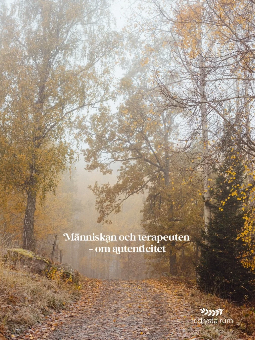 Ibland hejdar jag mig n&auml;r orden vill ut. St&aring;r p&aring; tr&ouml;skeln en stund. Undrar vad det &auml;r som knarrar och gnisslar mellan intryck och uttryck.

I d&ouml;rr&ouml;ppningen st&aring;r hon som ska vara den som &rdquo;kan det d&auml