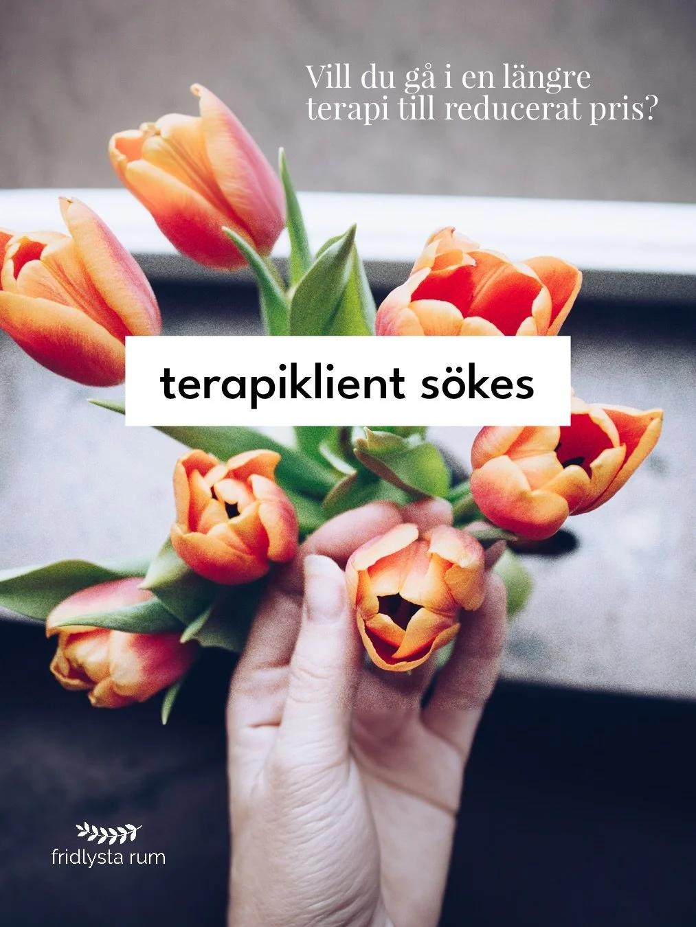 Erbjudandet har utg&aring;tt. Jag har fortfarande utrymme att ta emot klienter till ordinarie pris: 1000 kr/session.

REKLAM F&Ouml;R EGEN VERKSAMHET

🌿 Vill du g&aring; i en l&auml;ngre terapi till reducerat pris?

Jag s&ouml;ker just nu en terapik