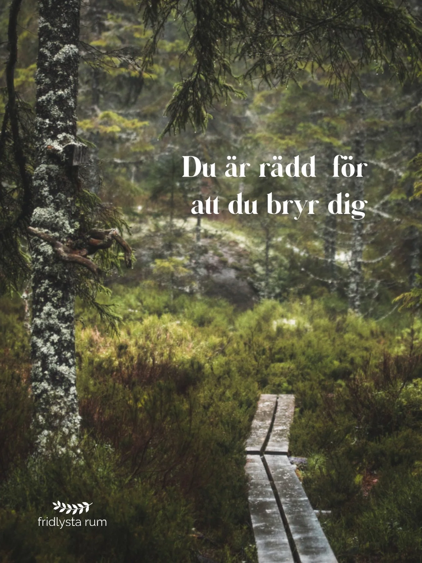 &hearts;️ Att ta hand om r&auml;dslan &hearts;️

Det &auml;r l&auml;tt att f&aring;ngas av r&auml;dsla i en orolig omv&auml;rld. N&auml;r vi f&ouml;rs&ouml;ker undvika att m&ouml;ta v&aring;ra k&auml;nslor f&aring;r de &auml;n mer eld (om du m&aring;