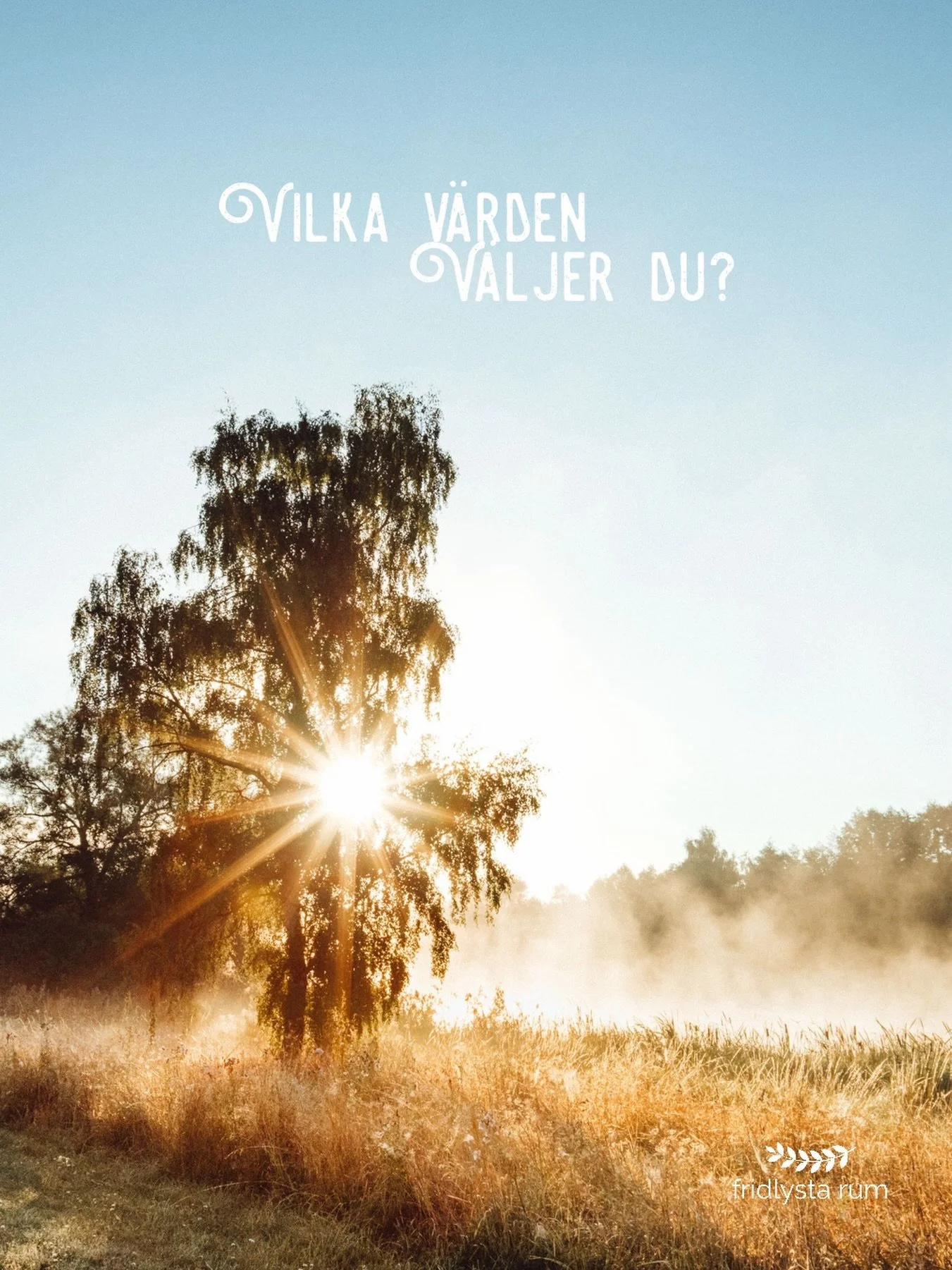 ✨ Att v&auml;lja i linje med dina v&auml;rden ✨

Vilka v&auml;rden vill du st&aring; f&ouml;r? Vad vill du ska v&auml;gleda samh&auml;llet fram&aring;t? Vad &auml;r viktigt p&aring; riktigt - h&auml;r och nu? 

Min upplevelse &auml;r att m&aring;nga 