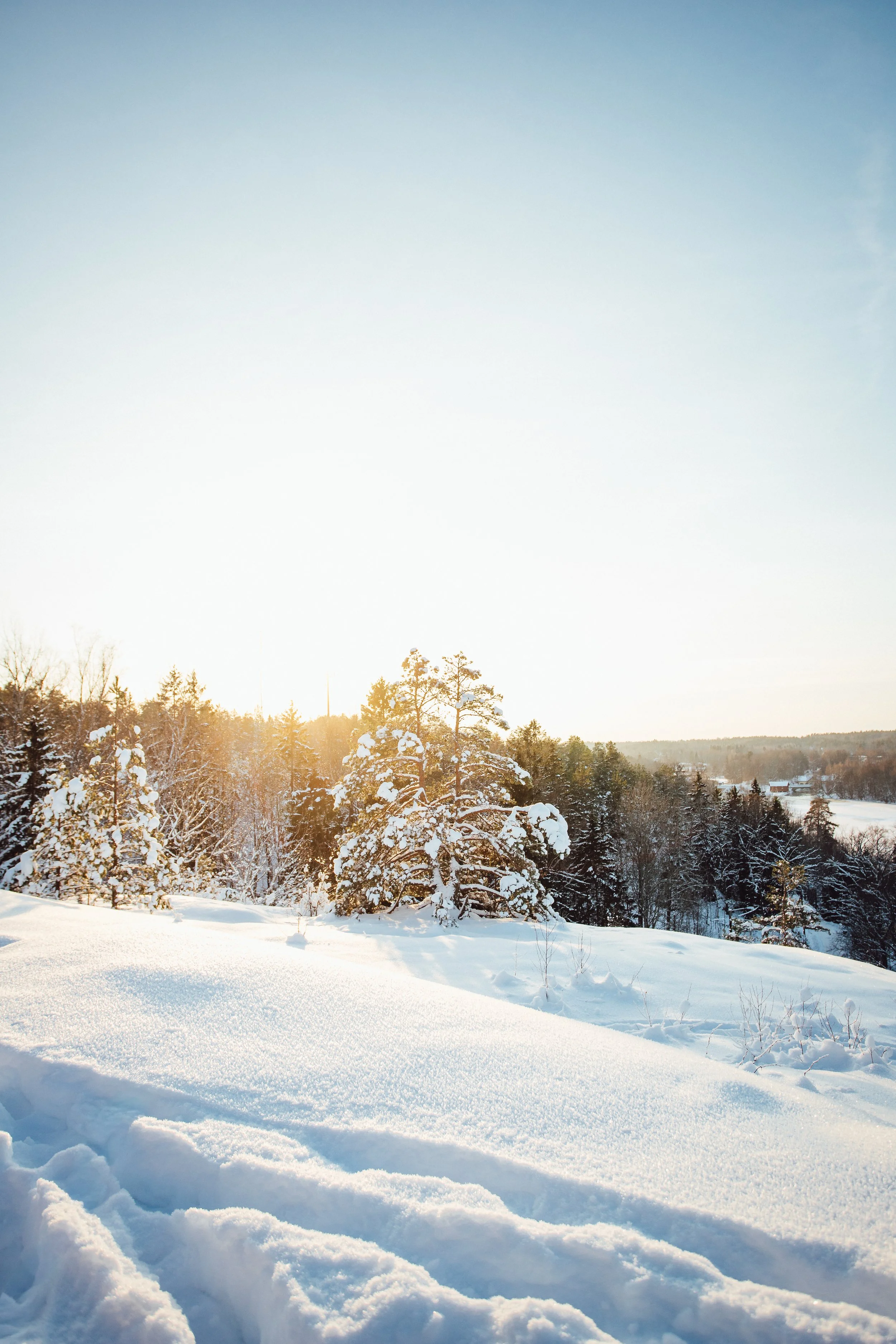 Stjärnögonblick från januari 2026 