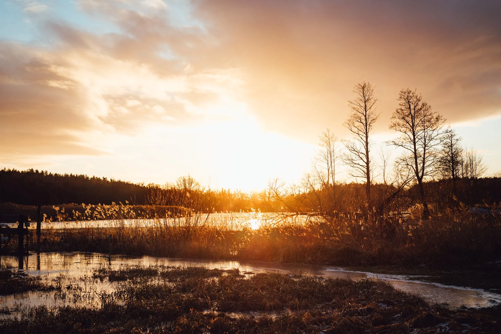 Stjärnögonblick från december 2025
