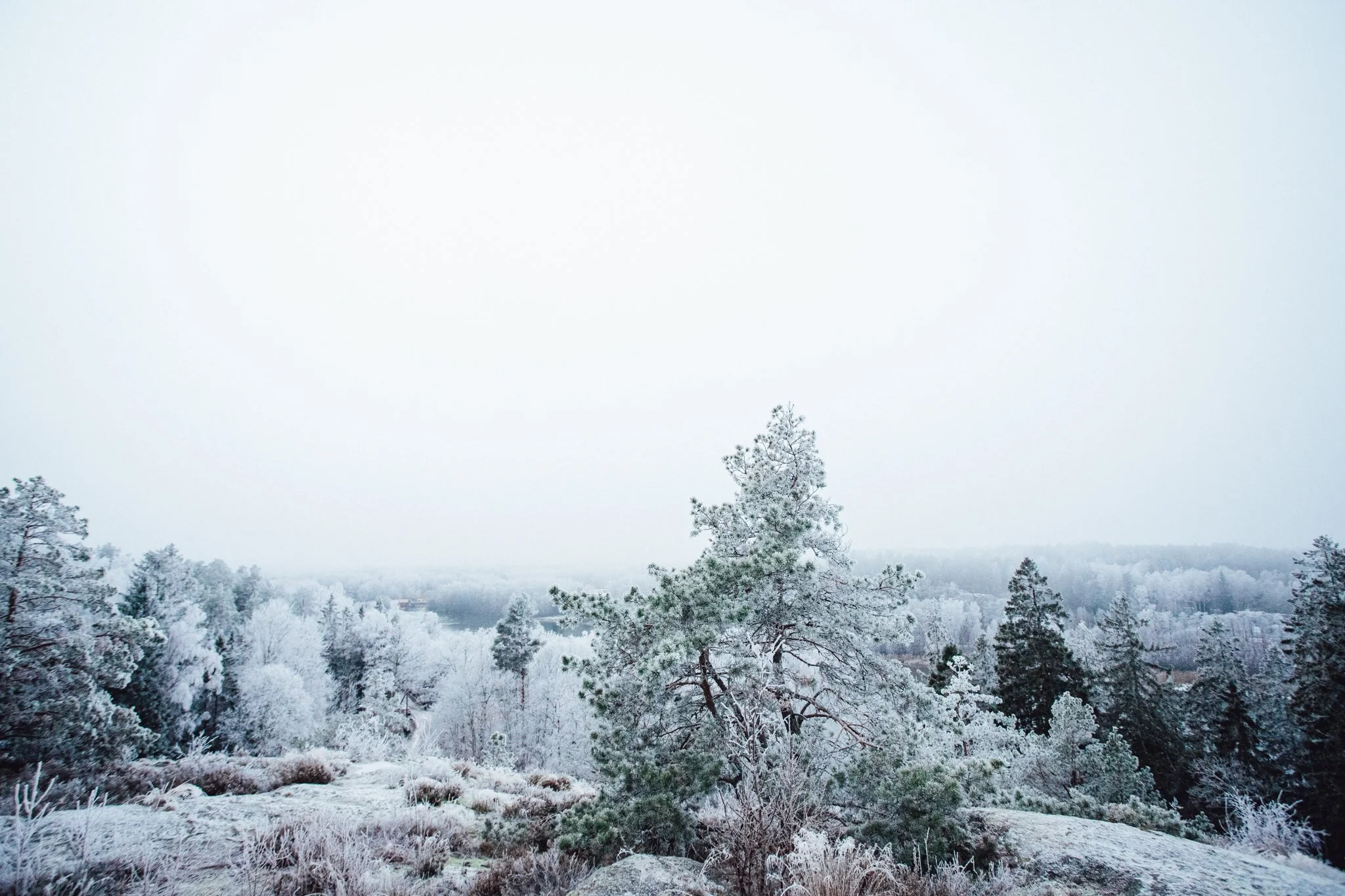 Stjärnögonblick från november 2025