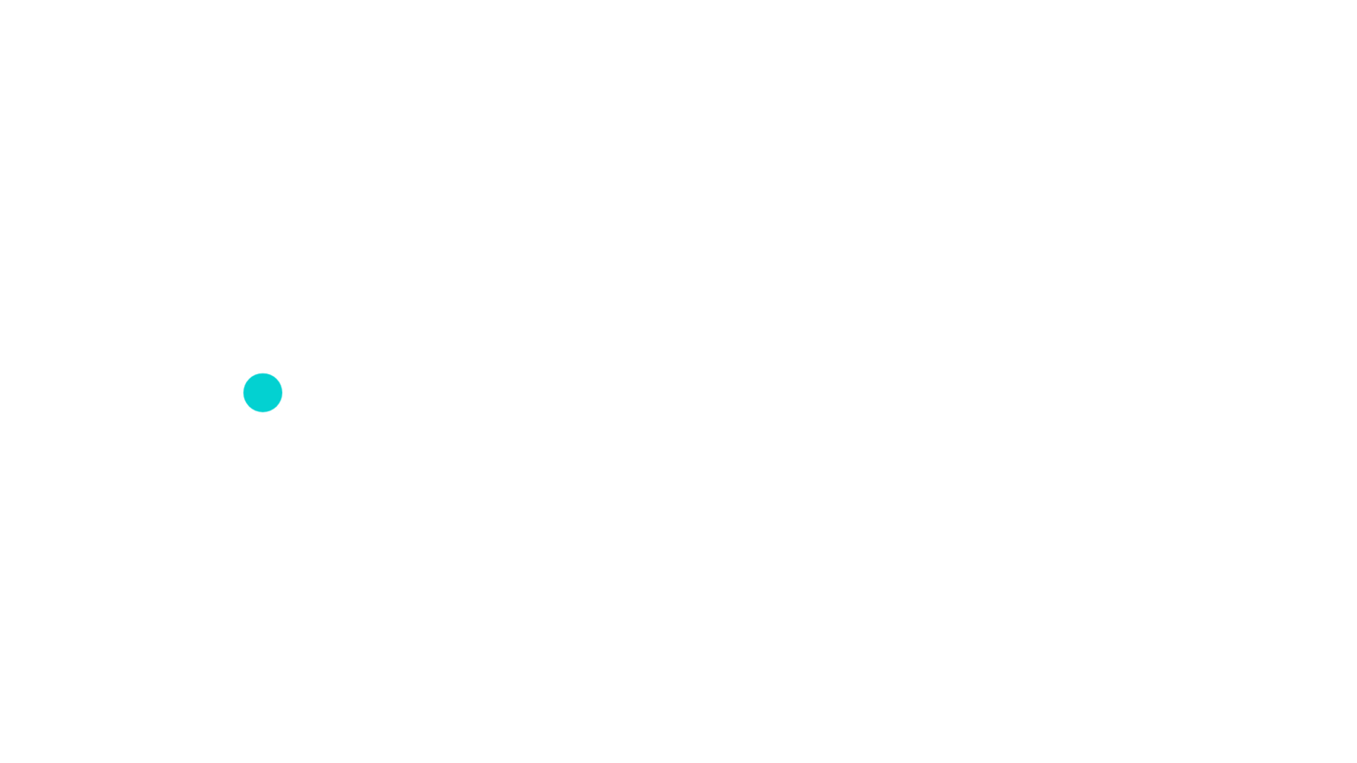 Shannon D&#39;Arcy Photography