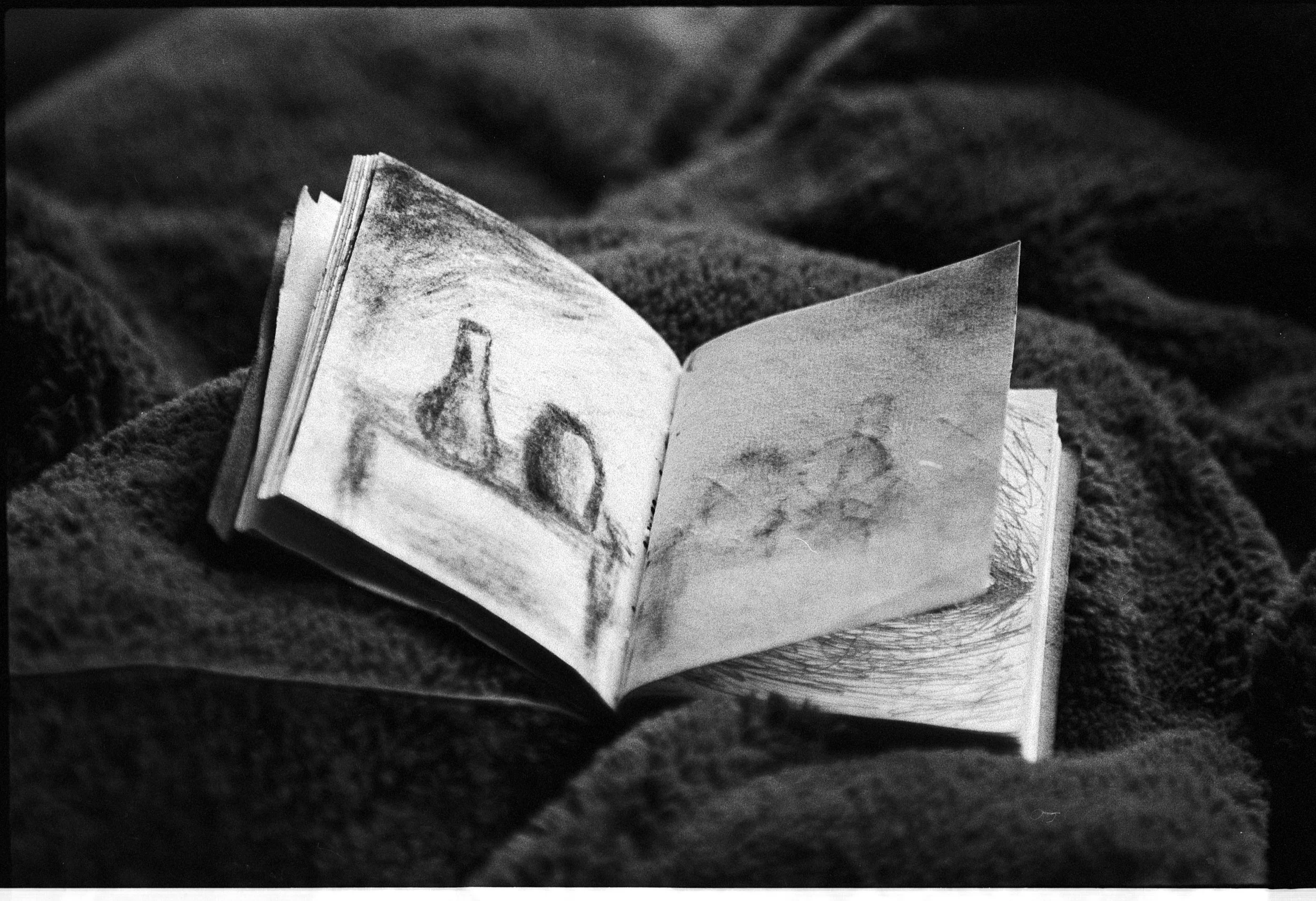 Sylvia Plath's Journals
