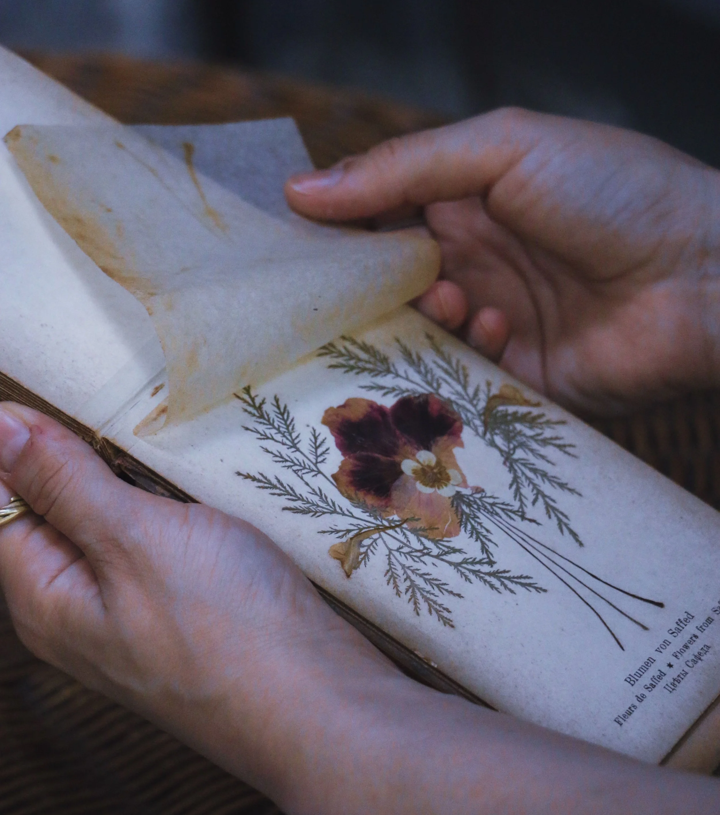 Kate Atkinson's 'Behind the Scenes at the Museum' - Part 2