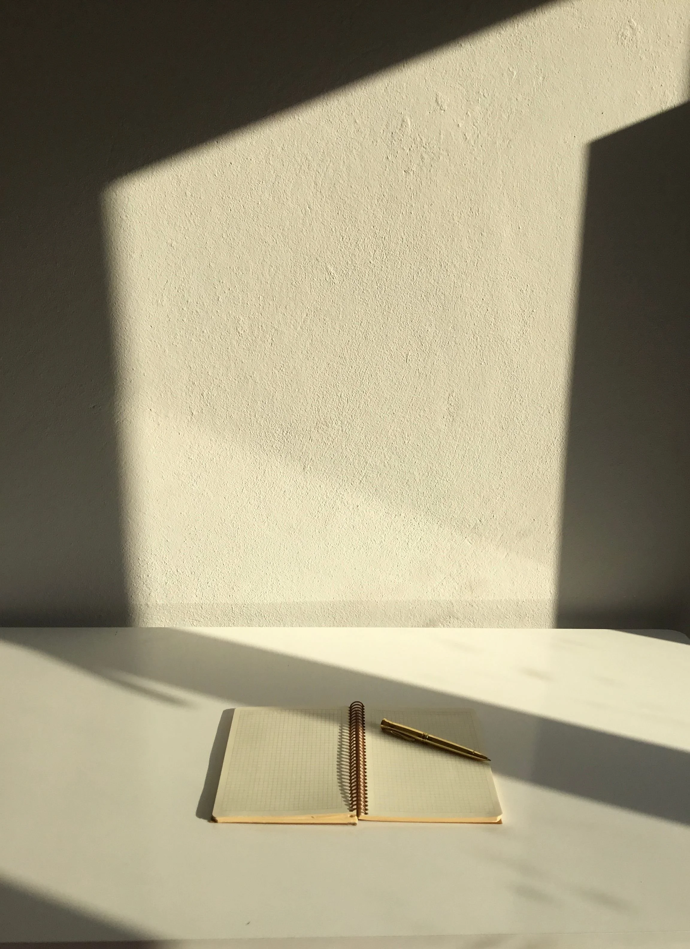 Sylvia Plath's Diary