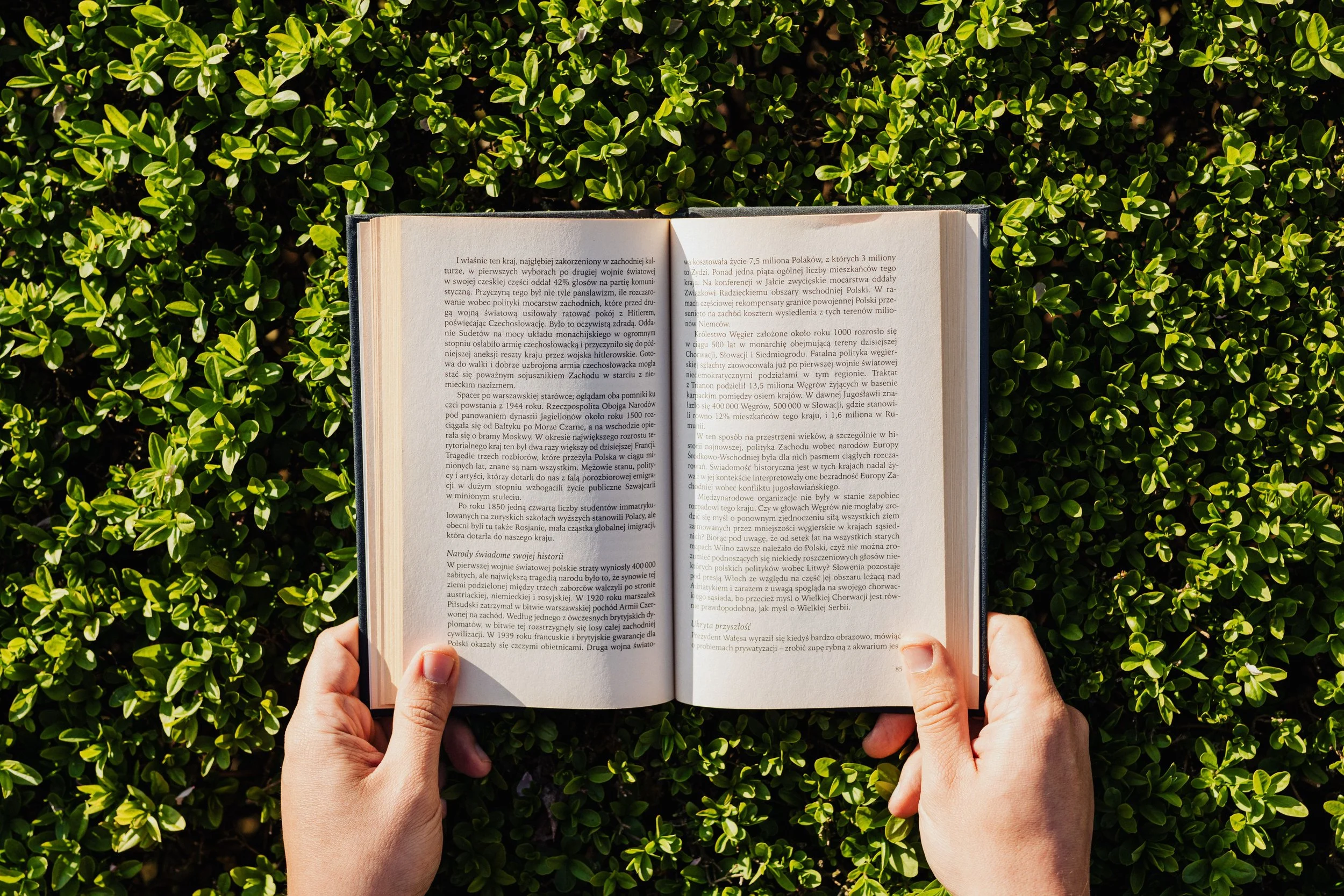 Book in Hand