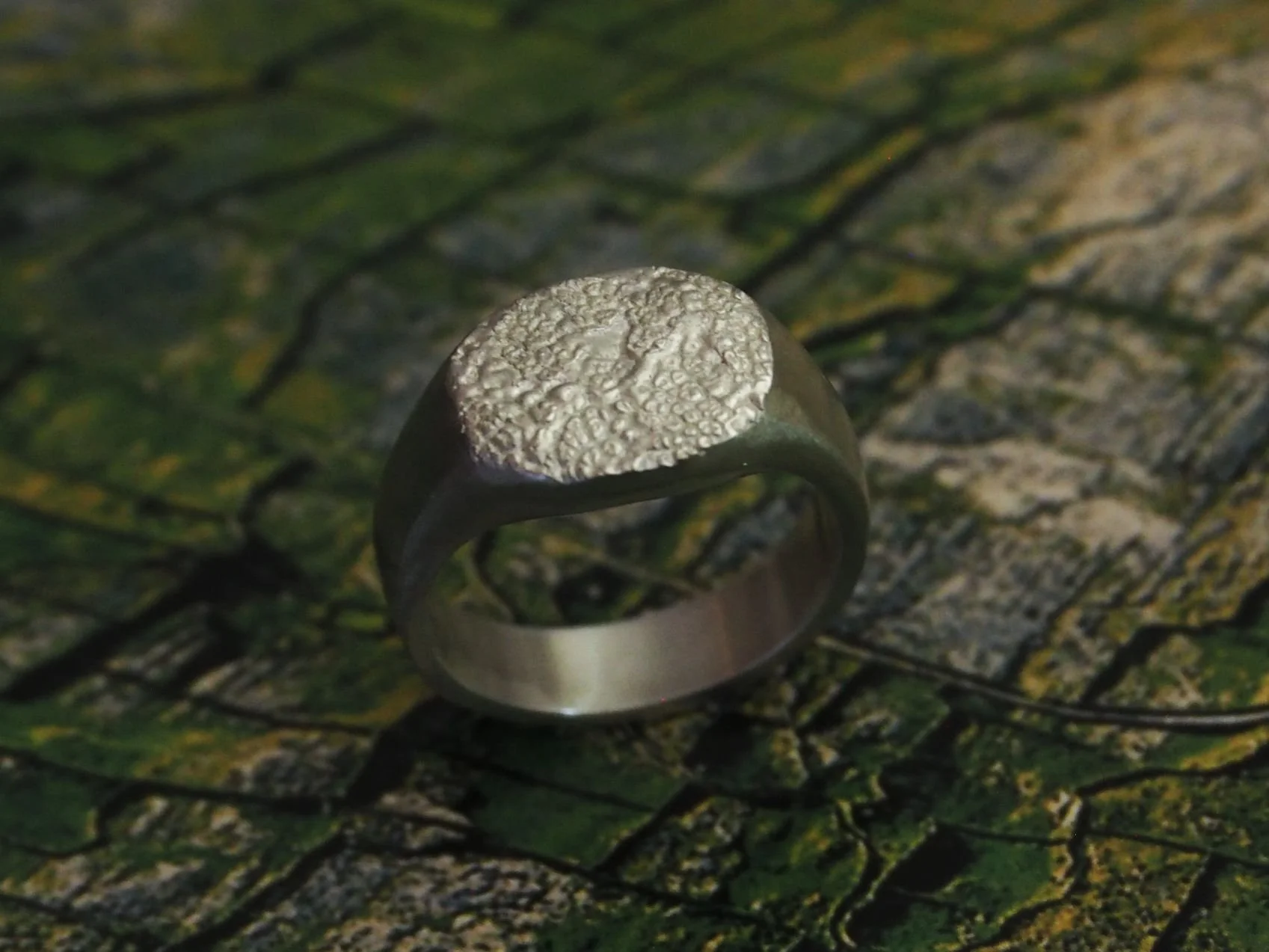 Chevalière museau chien sur fond coloré. L’empreinte de la truffe du chien est déposée sur le plateau de la chevalière. C’est une bague truffe très élégante.