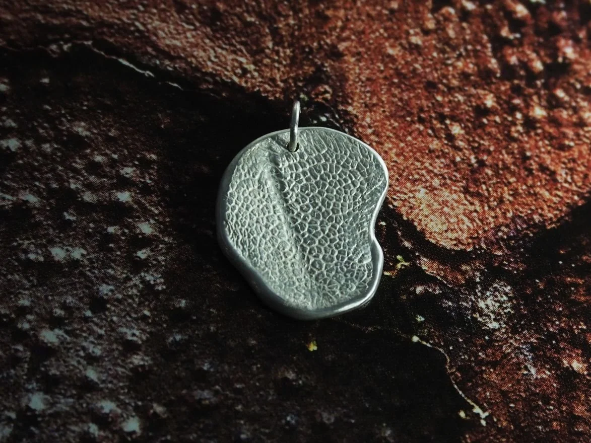 Pendentif truffe de chien en argent sur fond coloré. 