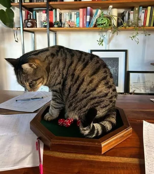 la truffe de Pataugas est utilisée pour un bijou empreinte animal qui utilise la truffe d’un chien et d’un chat. La bague truffe de chien et chat est une commande sur mesure pour cette amoureuse des animaux.