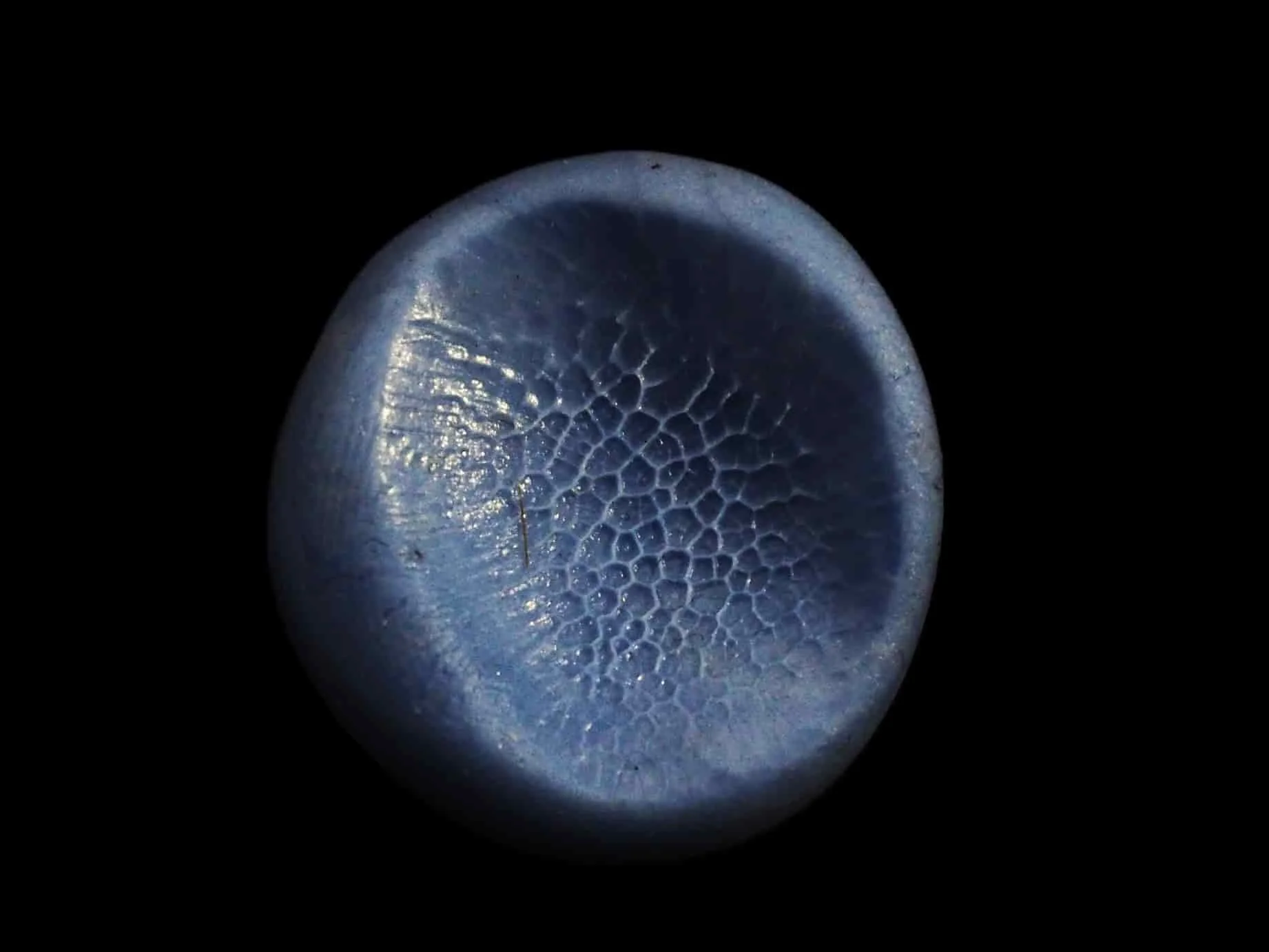 Gros plan sur un moule en silicone réussi avec l’empreinte de la truffe du chien. Les détails du museau sont nets, prêts à devenir un bijou empreinte truffe chien sur mesure, comme une bague truffe personnalisée ou un pendentif truffe chien.