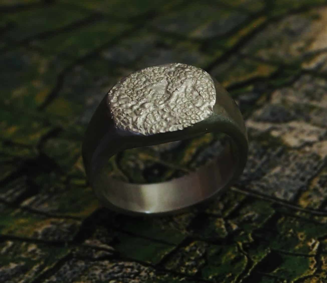 bague empreinte chien sur fond coloré. Cette bague truffe est une chevalière en argent massif. L’empreinte de votre chien est posée sur le plateau de cette chevalière.