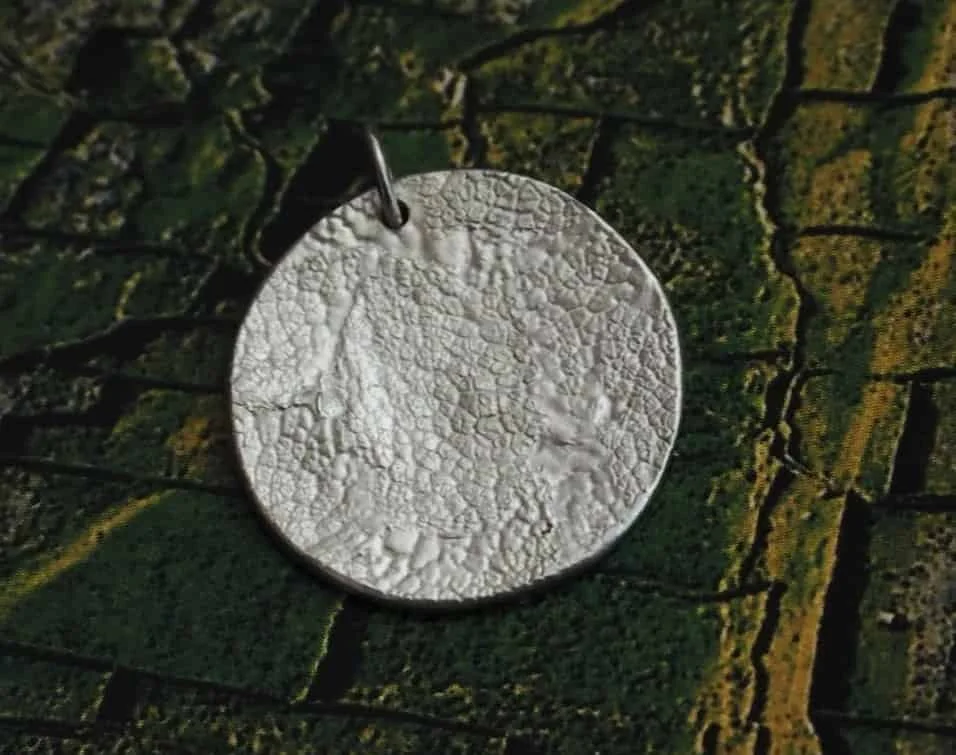 pendentif truffe chien sur fond coloré vert et jaune. Ce bijou truffe de chien est rond et en argent massif avec des finitions mates. L’empreinte du museau de votre chien est capturée dans le métal.