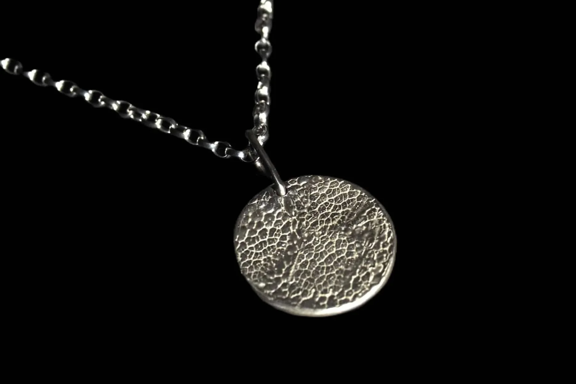 Collier truffe de chien sur fond noir.