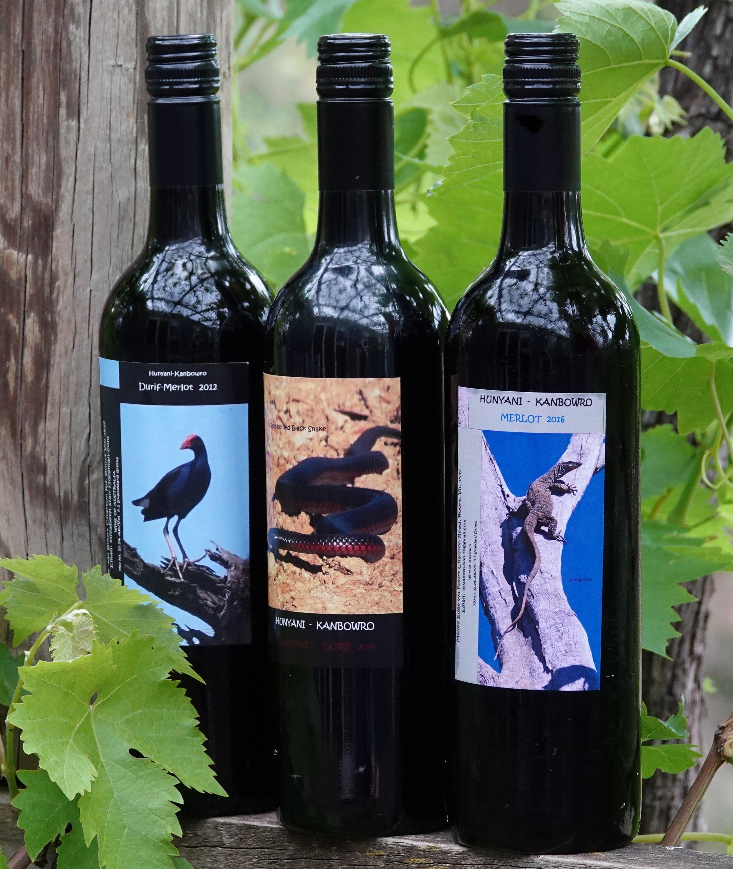 wine1..jpg